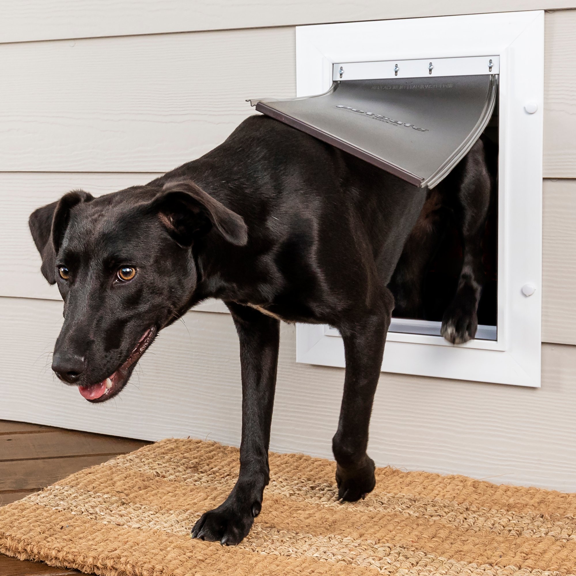 Petsafe Wall Entry Aluminium Pet Door 8 L X 13 W X 18 H Petco