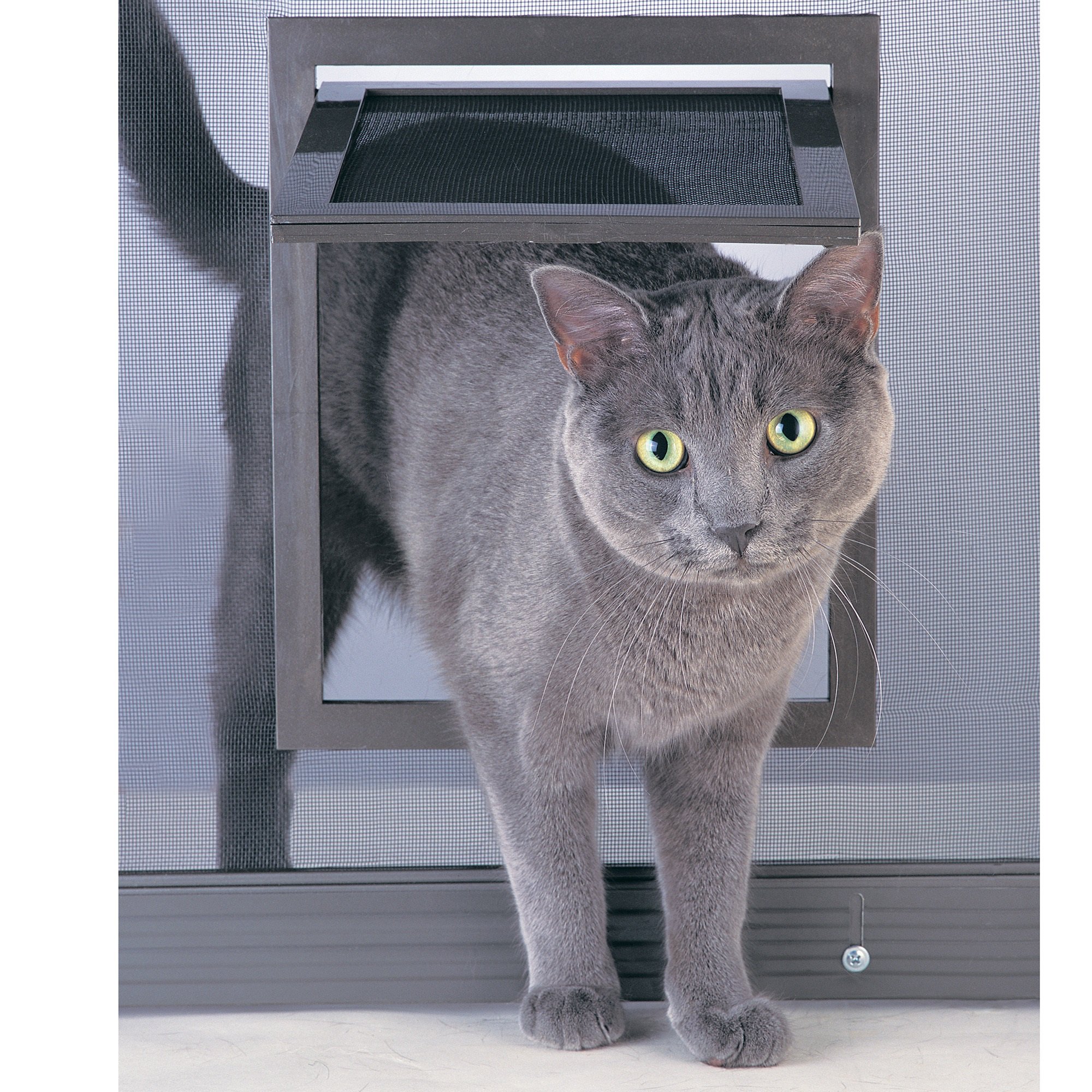 Petsafe Pet Screen Door