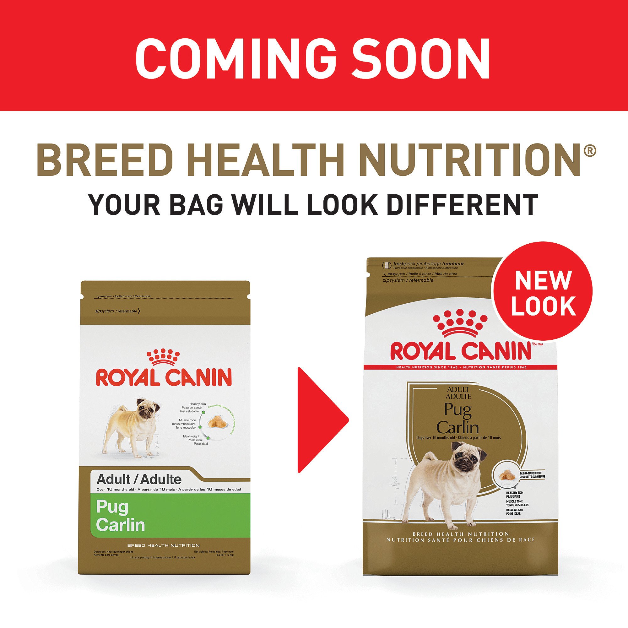 Royal Canin Breed Health Nutrition Pug Adult Dry Dog Food 10 Lbs