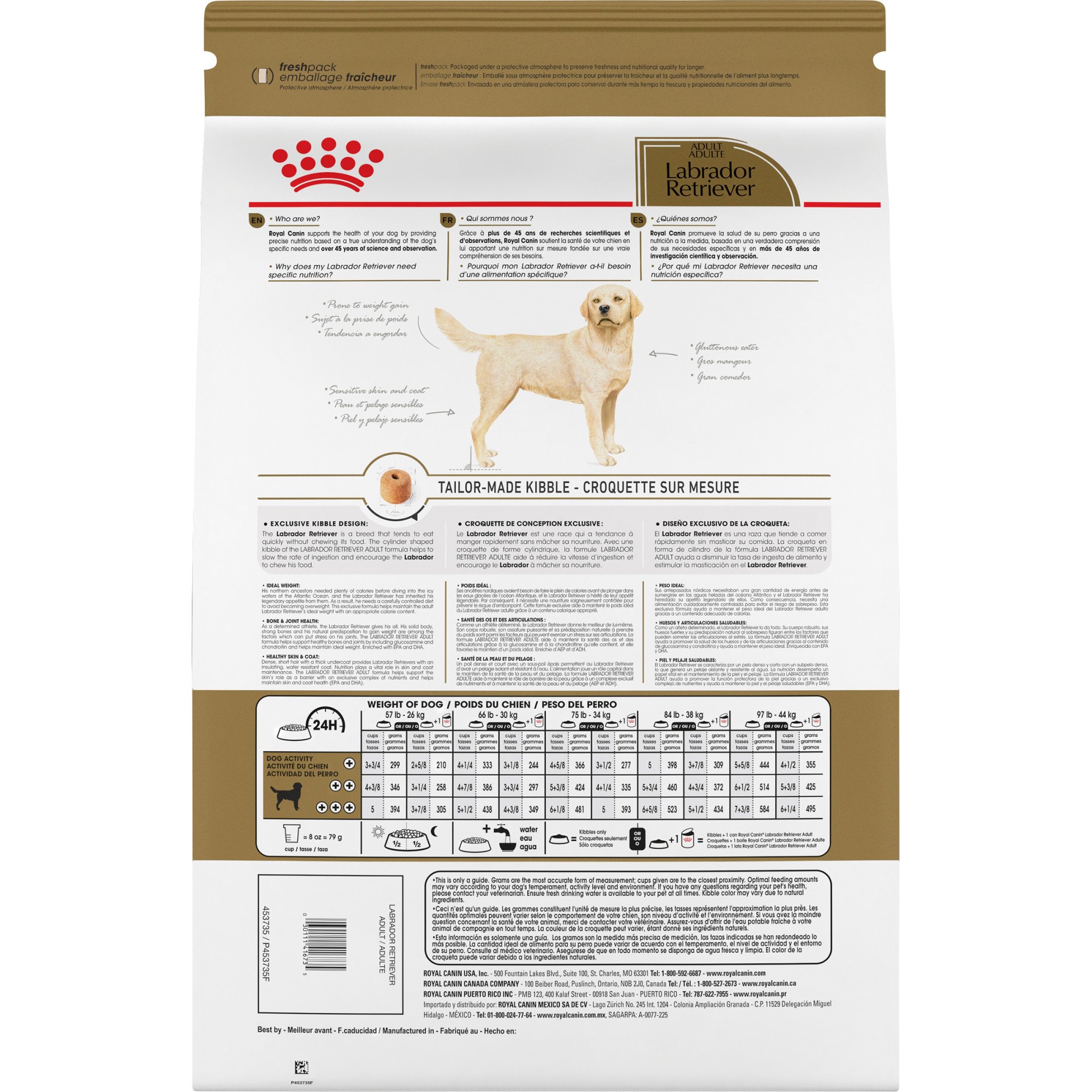 labrador dry food