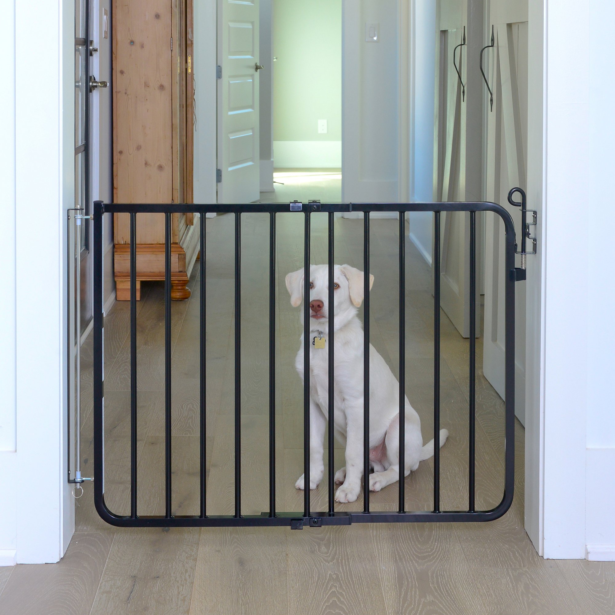 Cardinal Gates Black Auto Lock Pet Gate Petco