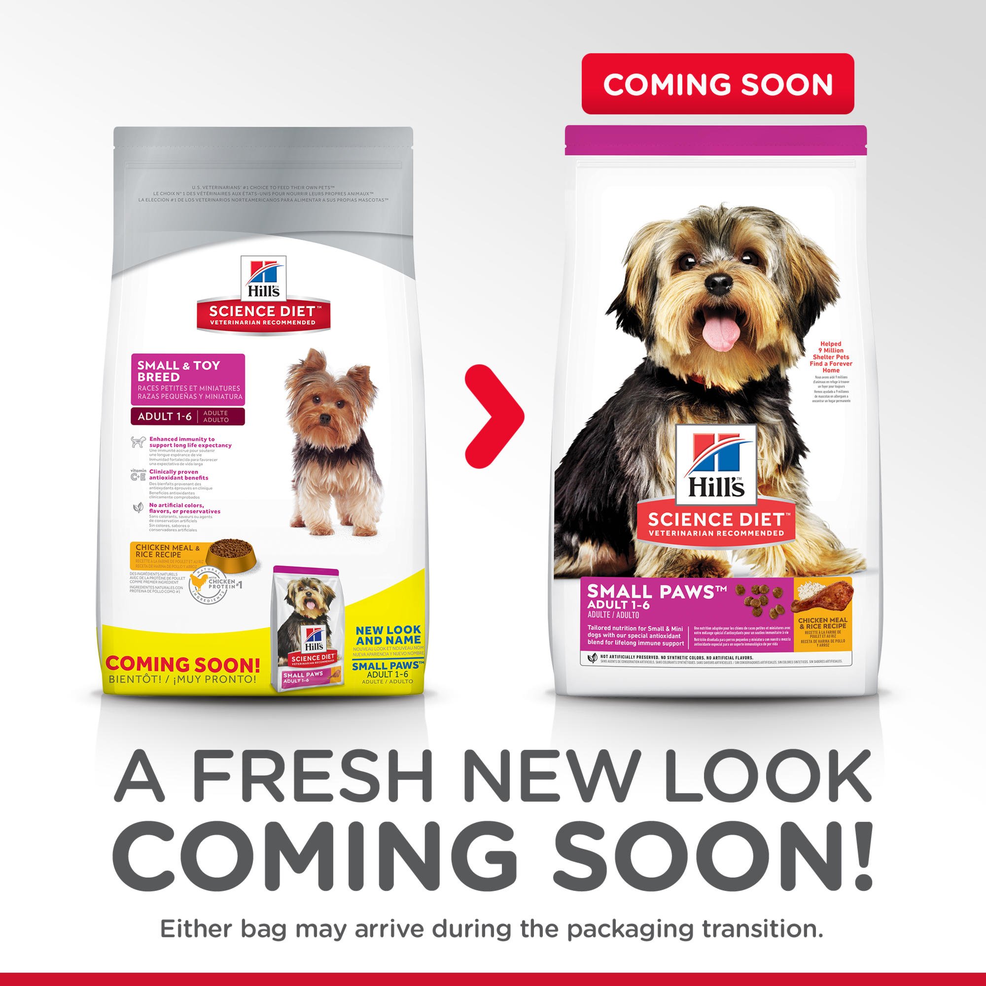 science diet dog food small breed