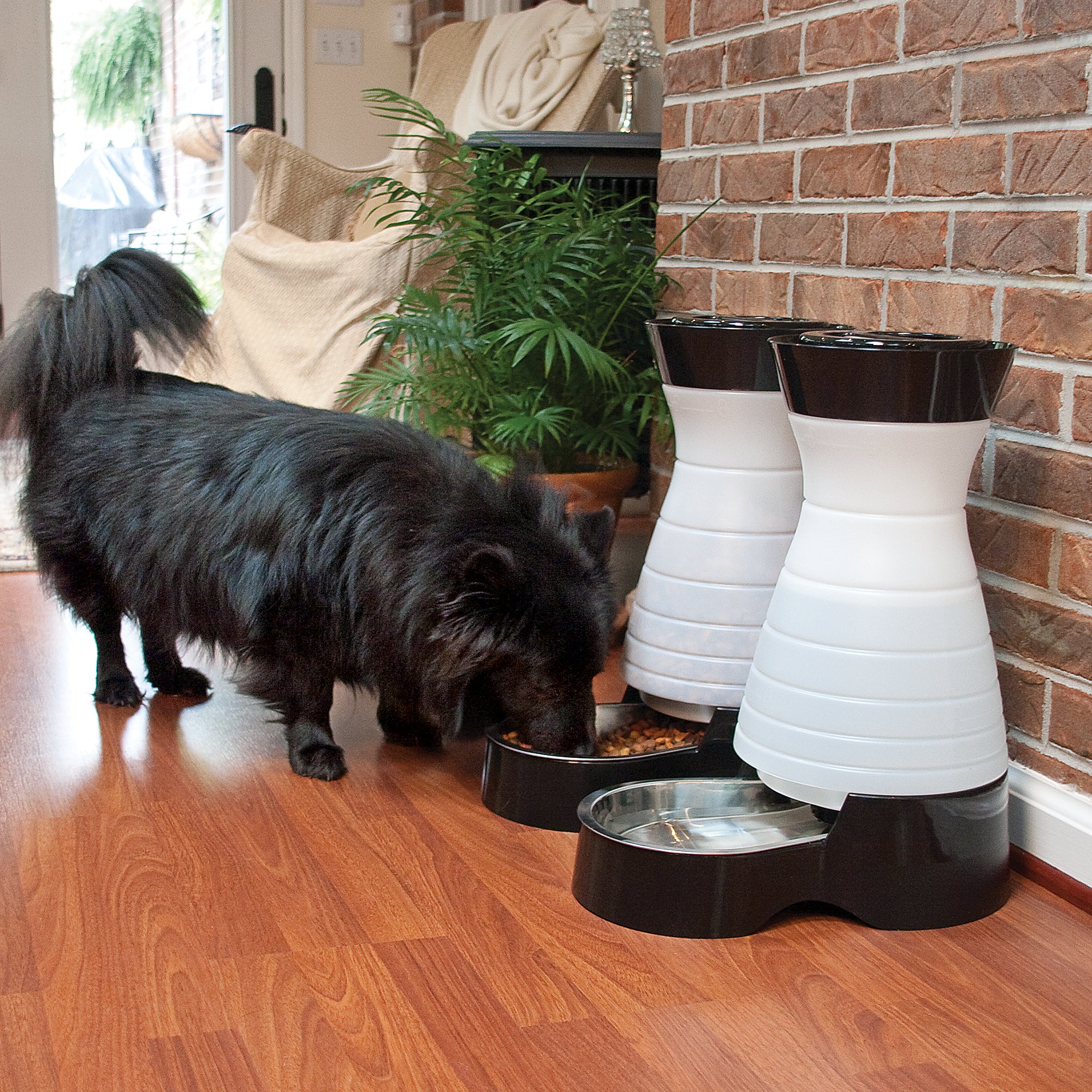 gravity pet feeder