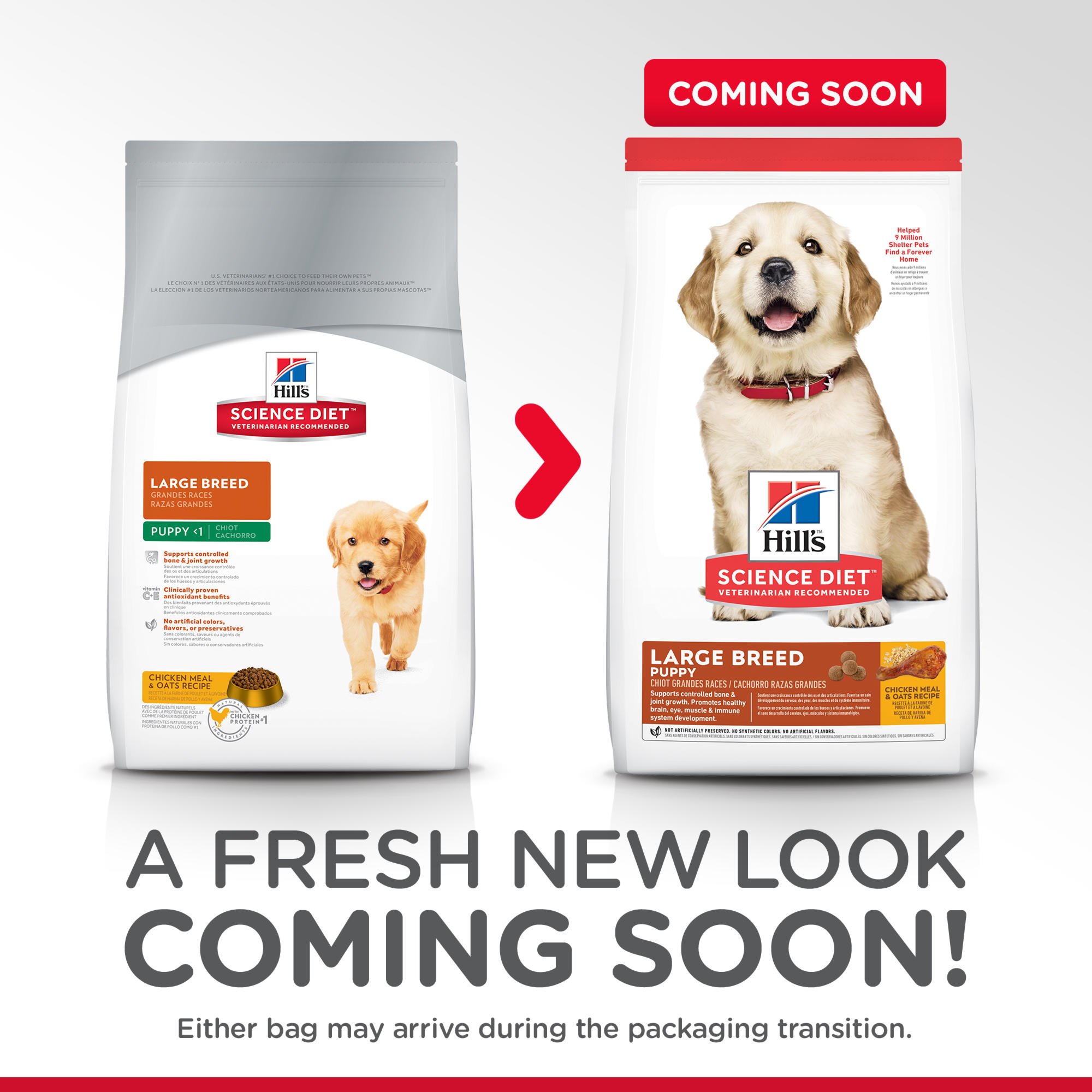 science diet large breed puppy food