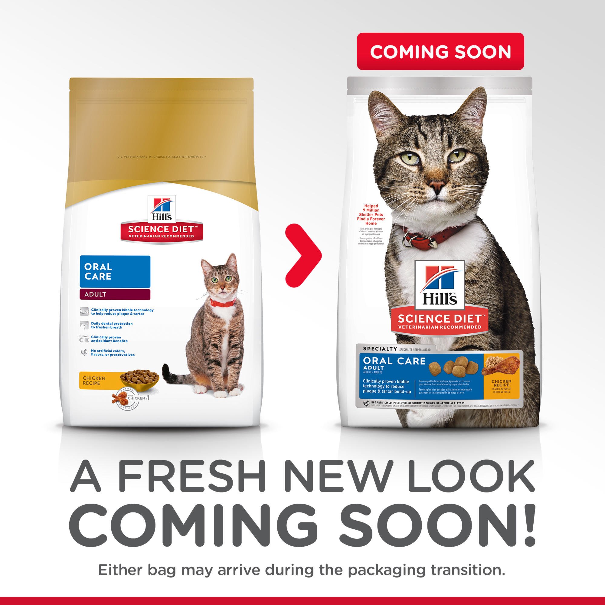 science diet oral care cat