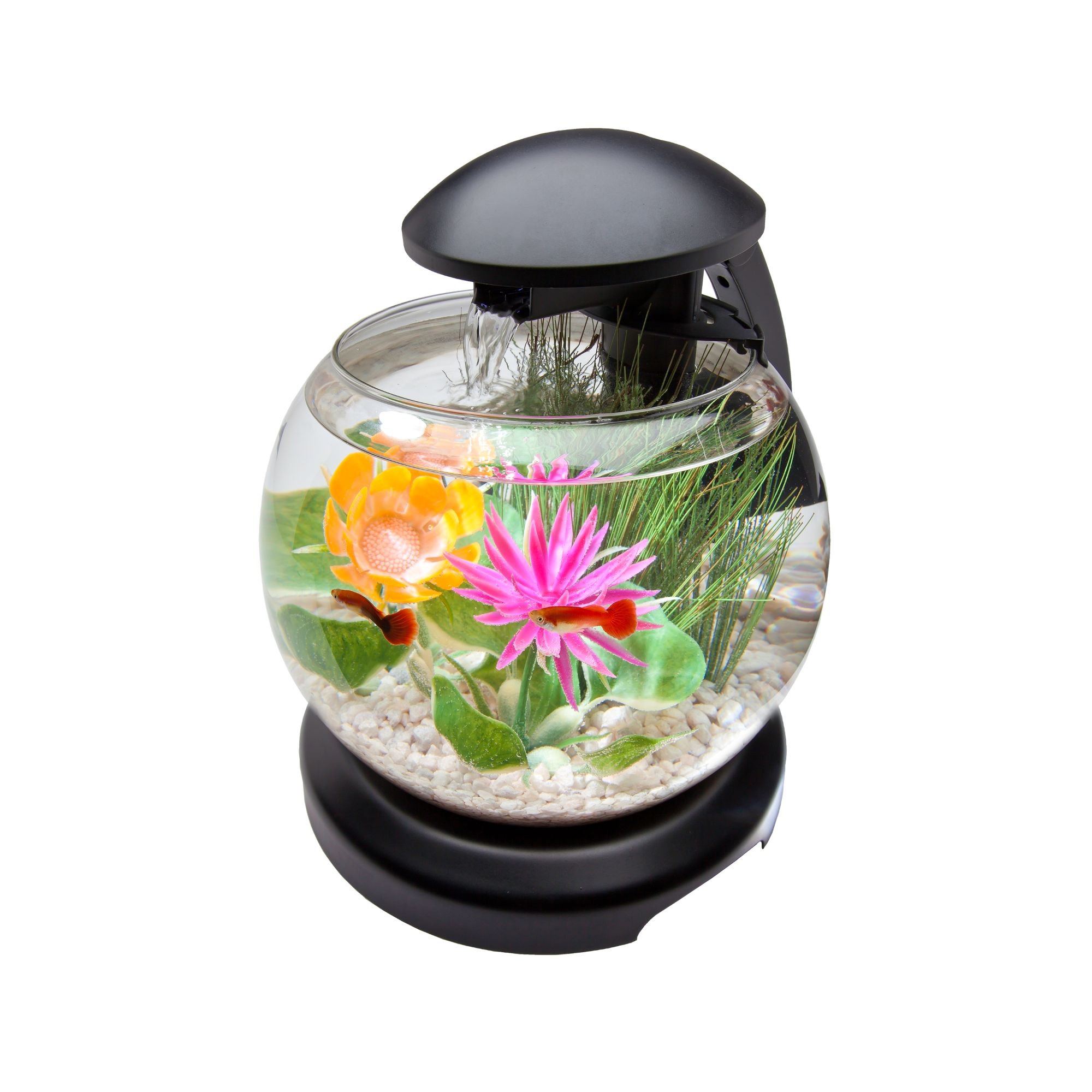 Tetra 1 8 Gallon Waterfall Globe Aquarium Kit Petco