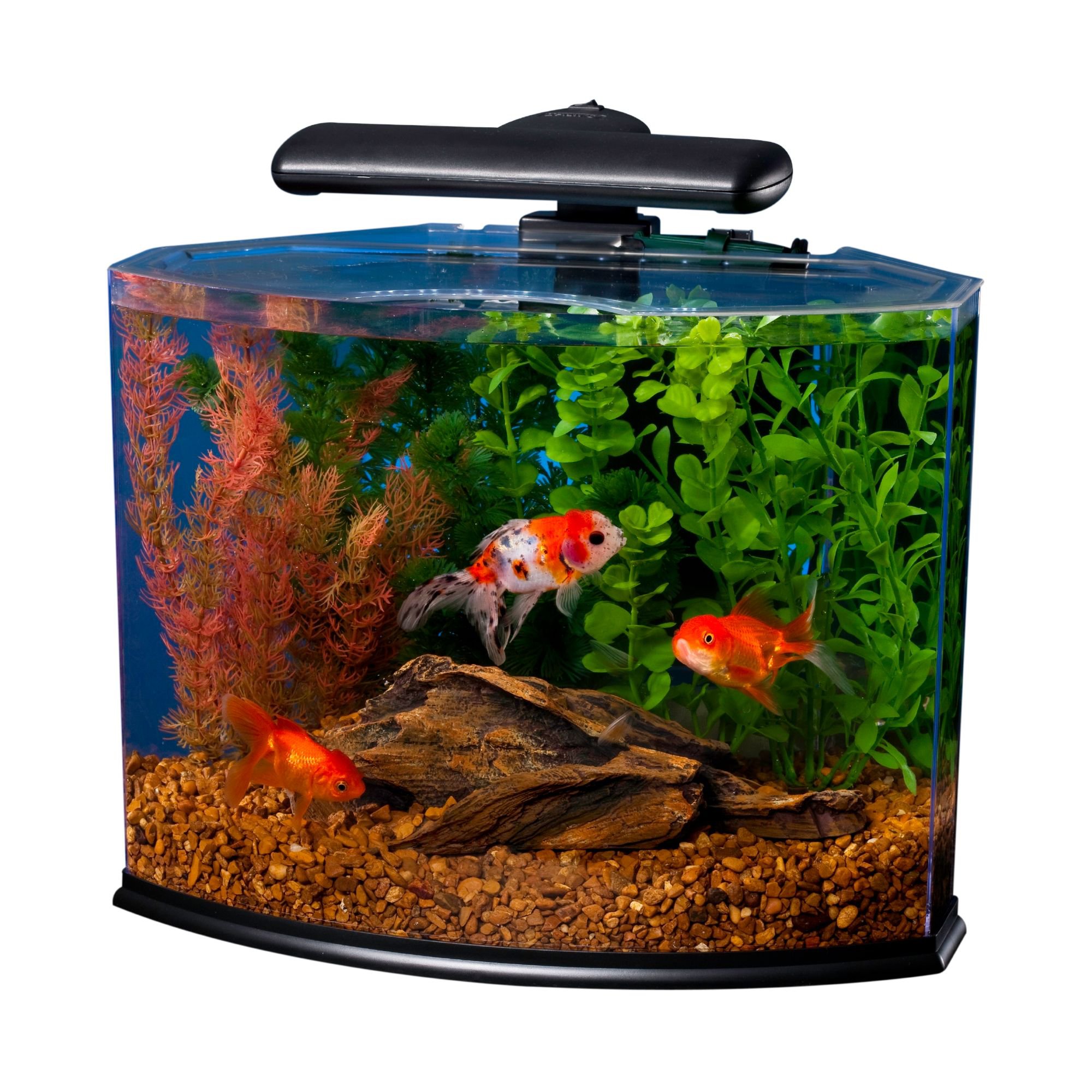 Tetra Curved-Front Tank With LEDs Crescent Aquarium Kit, 5 Gallon - 1397958 Center 5?$tile RecommenDations$