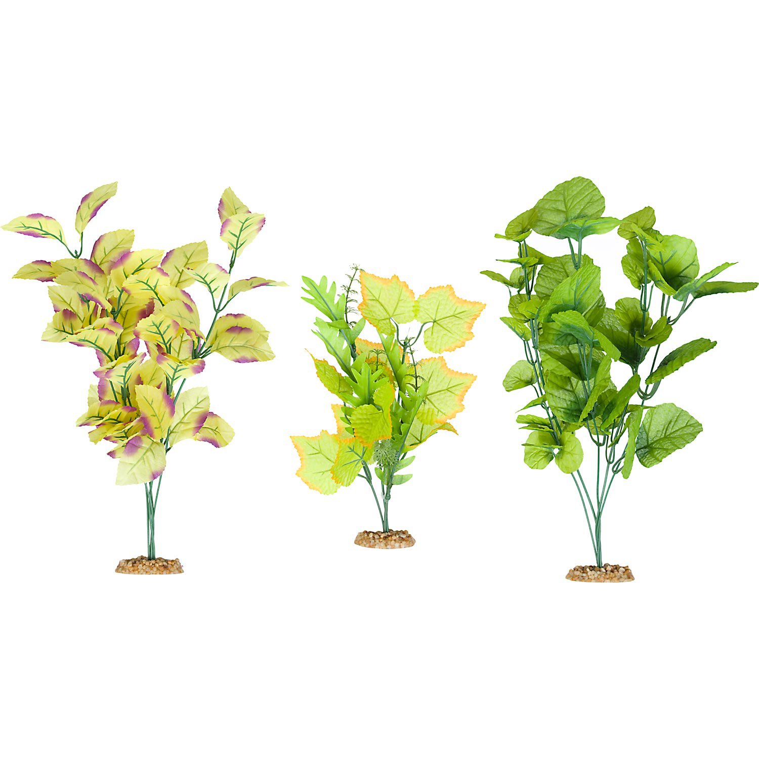 Unduh 530+ Background For Aquarium Plants Gratis
