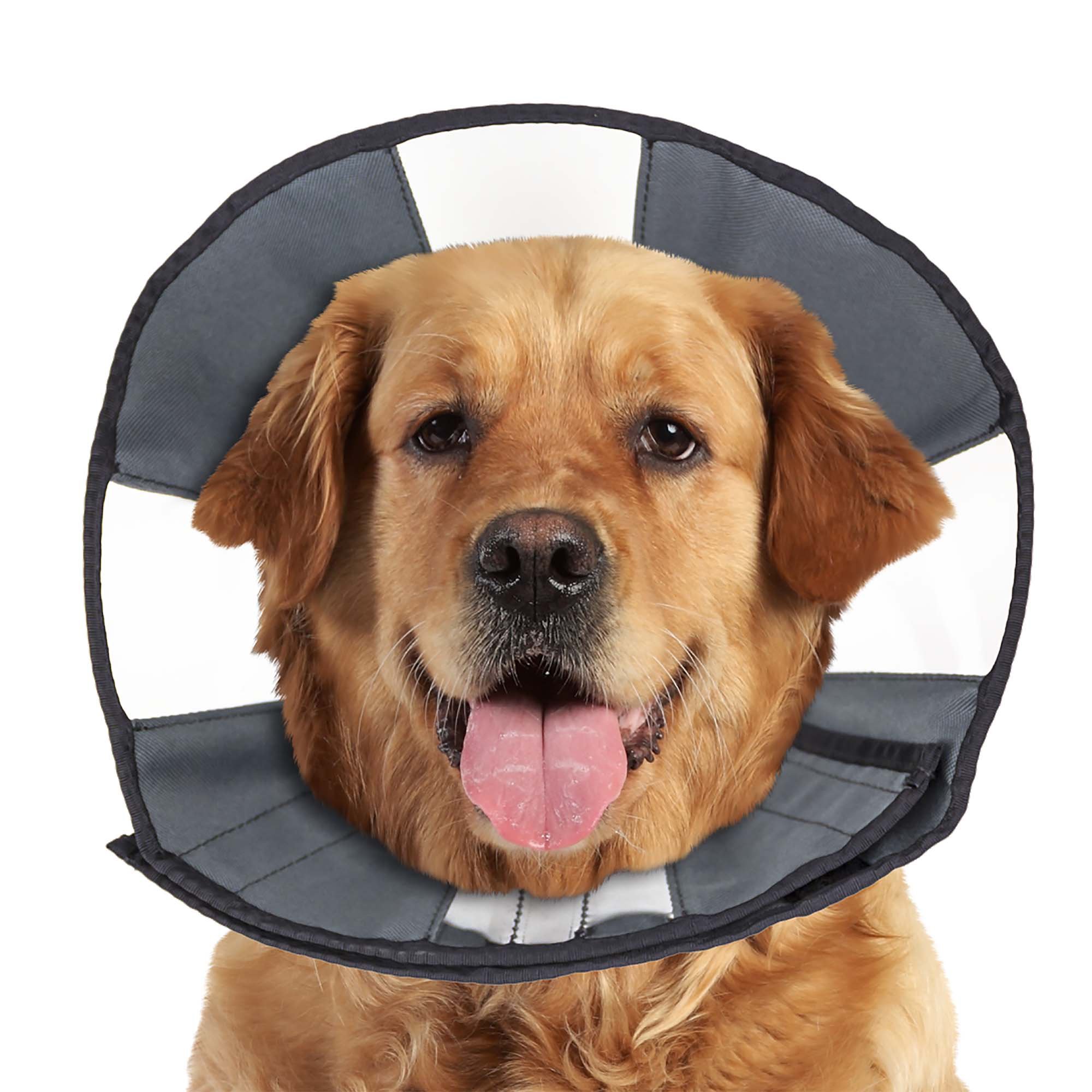 ZenPet ZenCone Soft Recovery Collar Petco