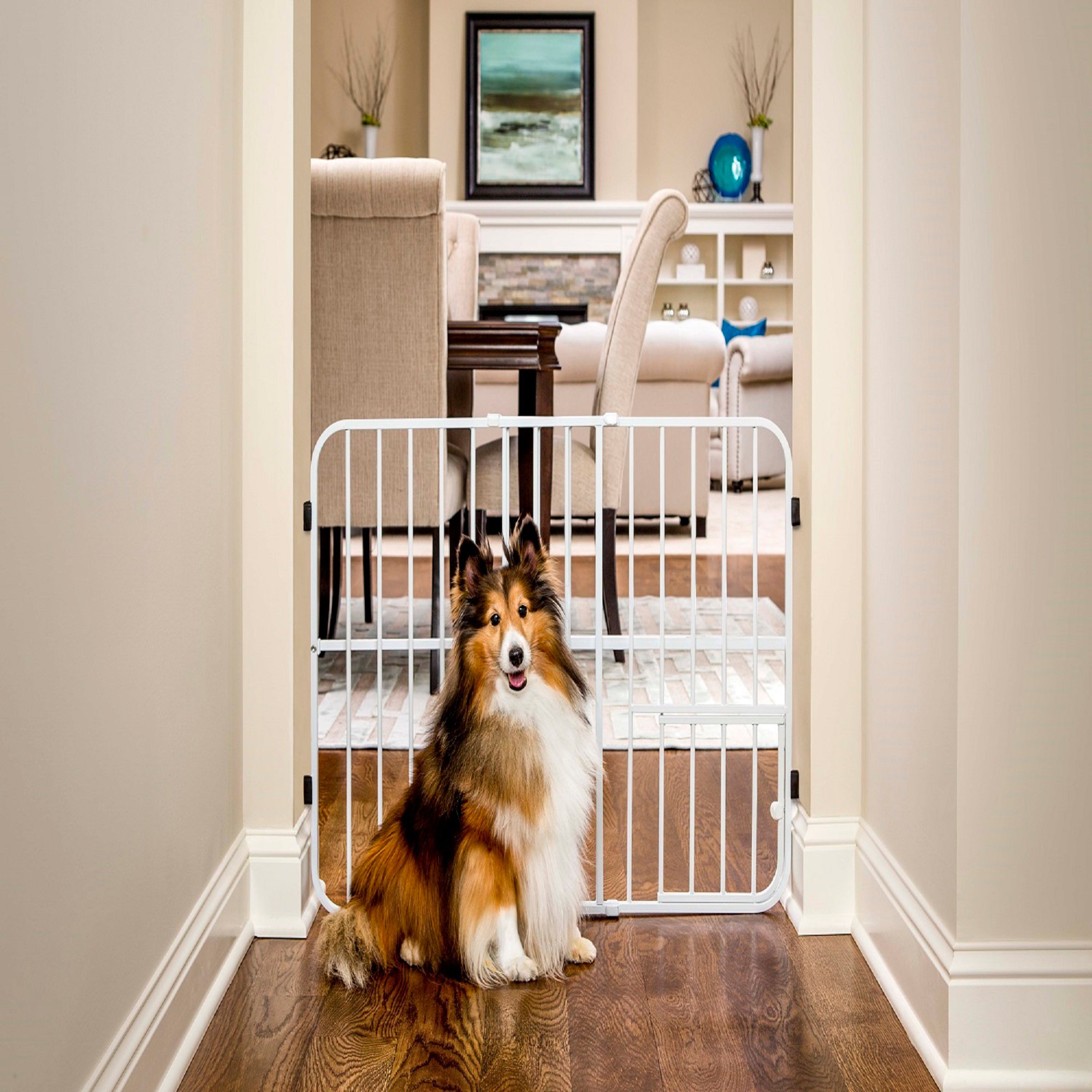 https://petco.scene7.com/is/image/PETCO/1562398-center-2?$Zoom$