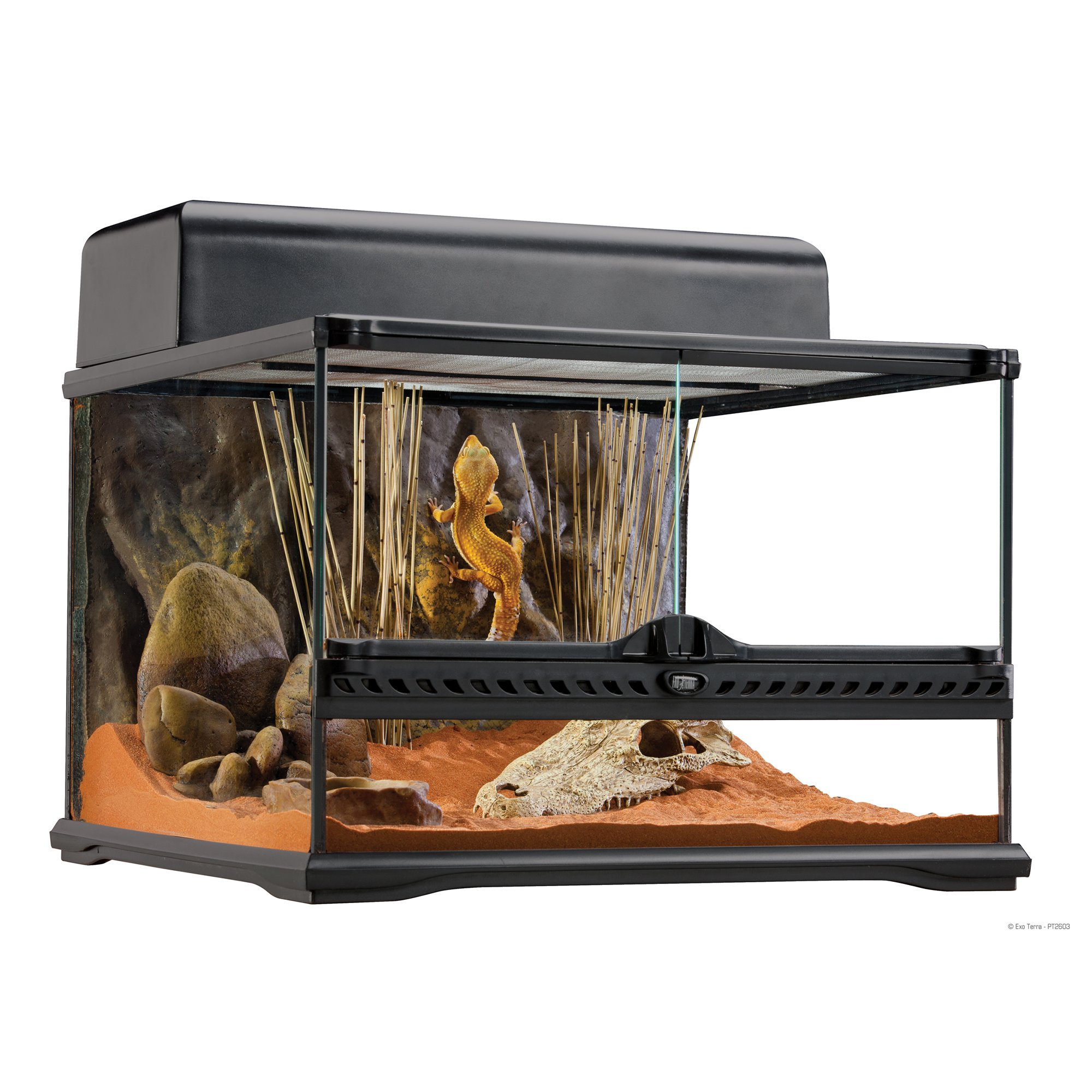 Exo Terra Small Low Terrarium, 18"x18"x12" Petco