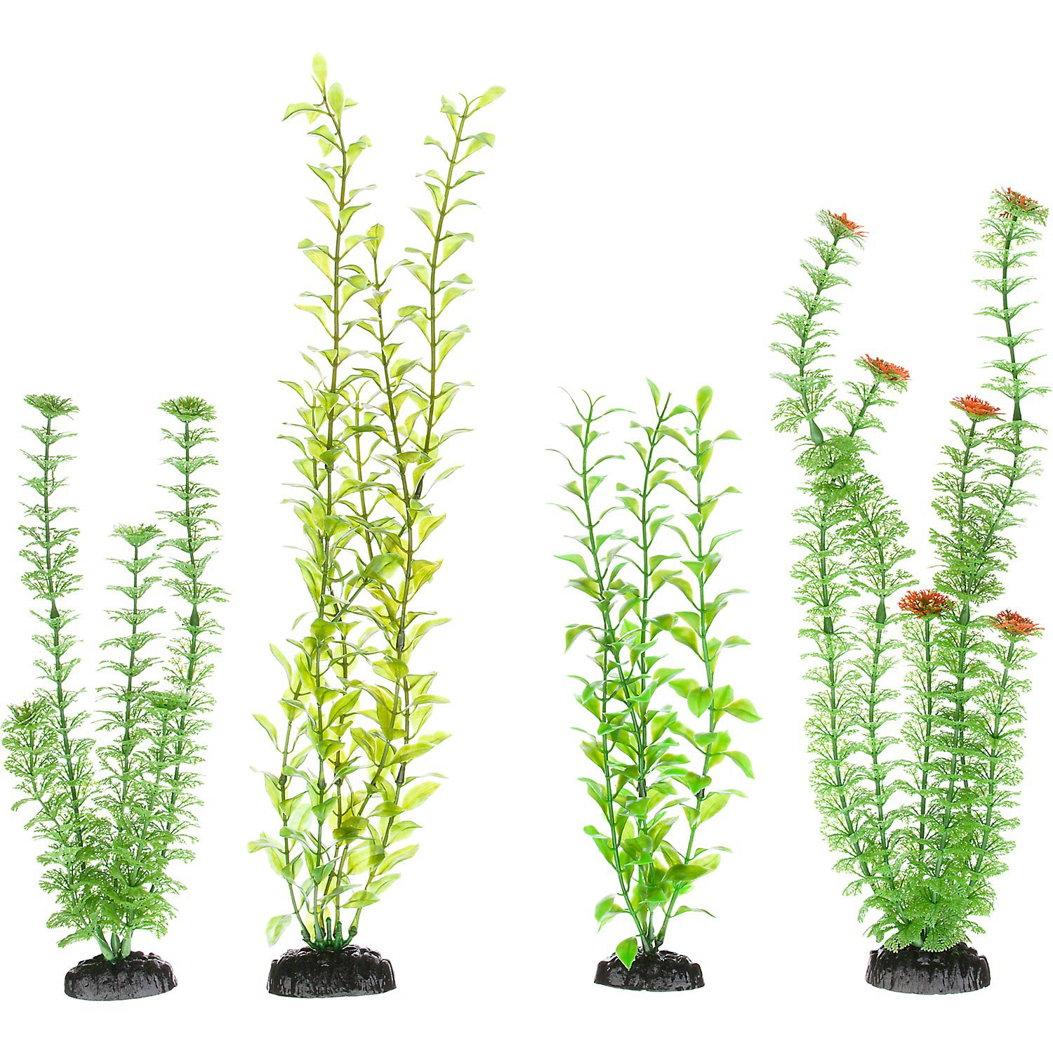 Unduh 530+ Background For Aquarium Plants Gratis
