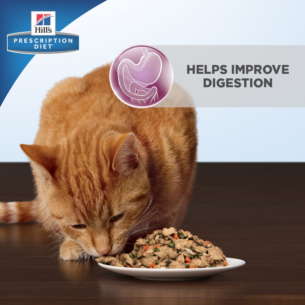 hills cat food digestive care