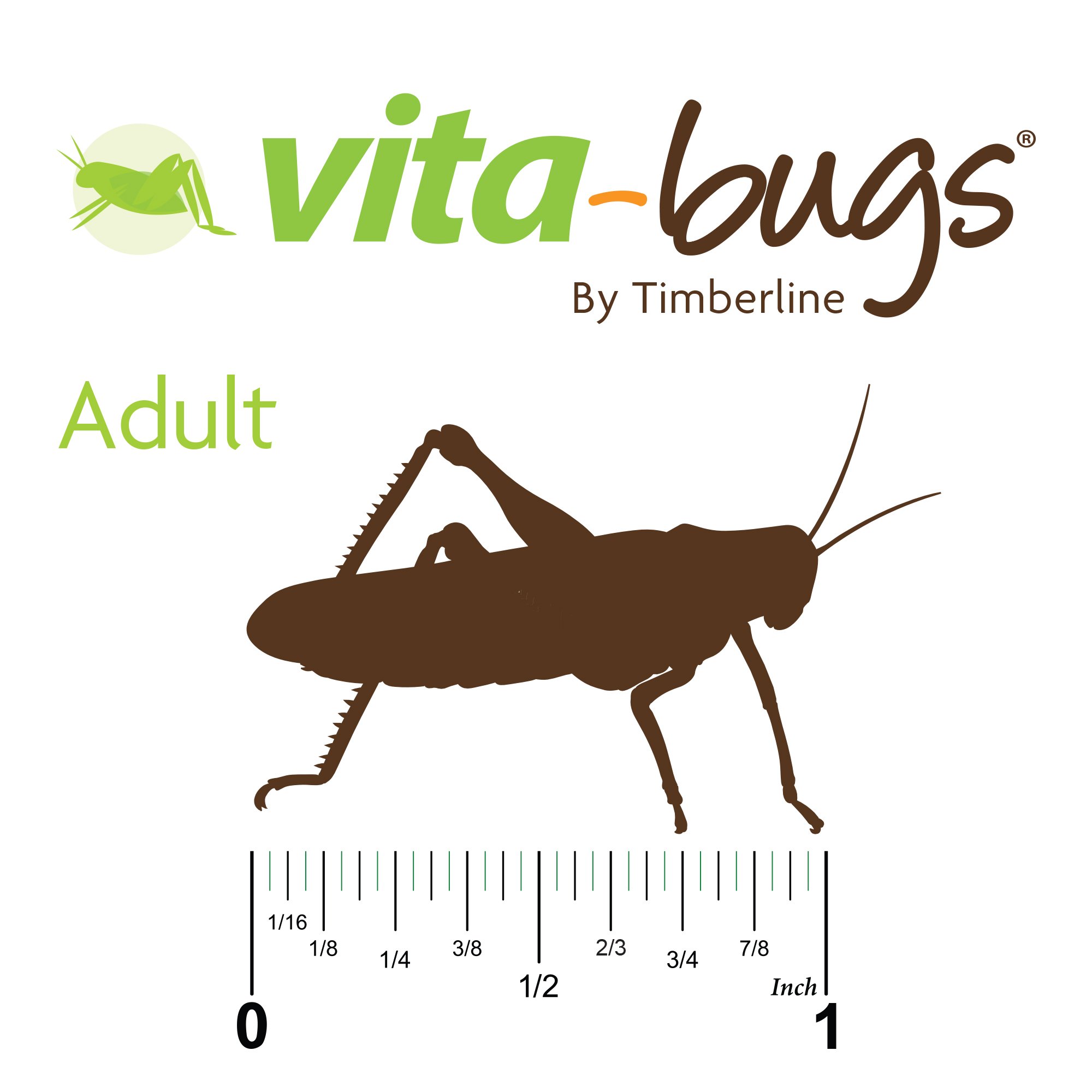 Vita Bugs Adult Crickets 1000 Count Petco