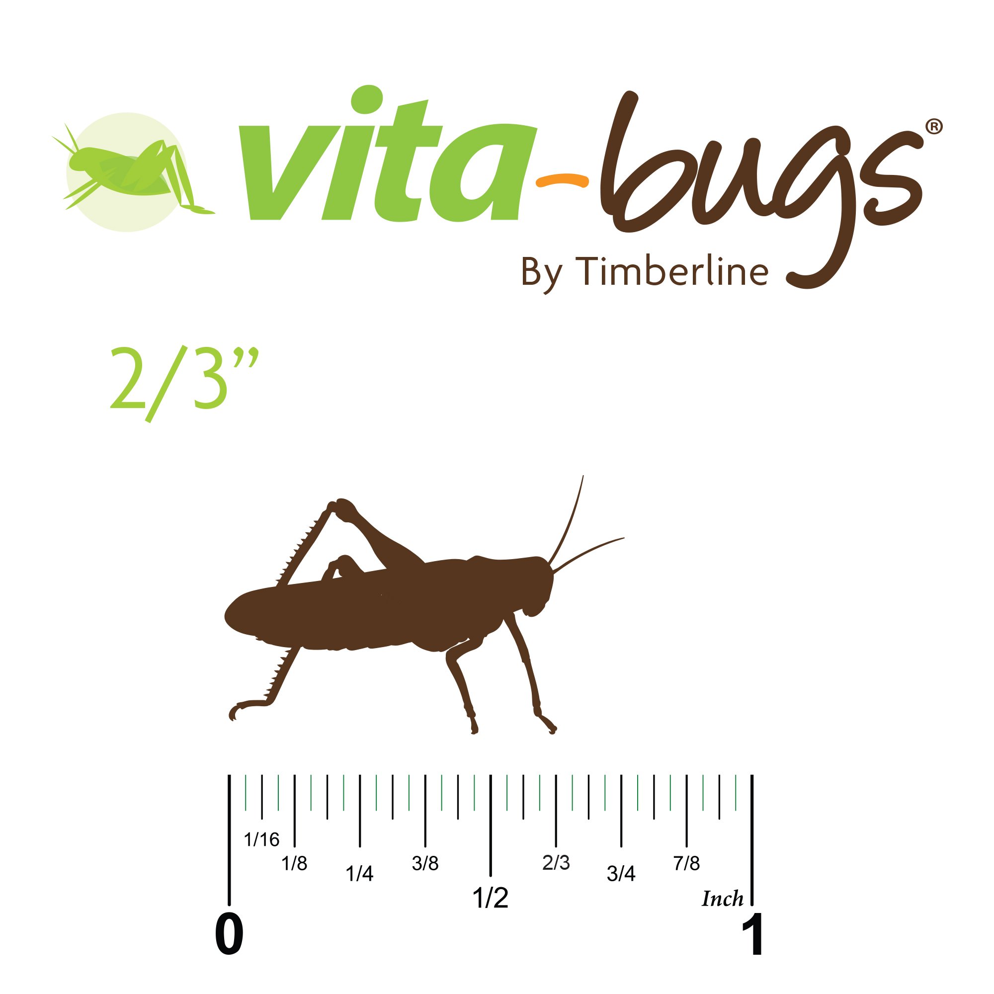 Vita Bugs 2 3 Live Crickets Petco