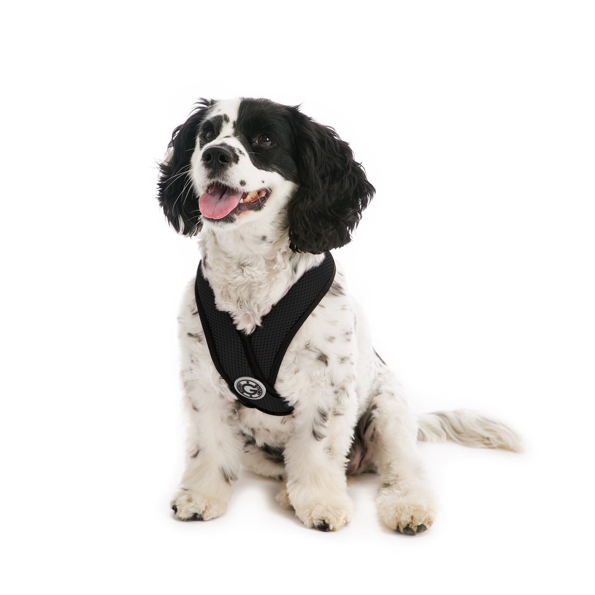 Gooby Choke Free Comfort X Soft Harness Black Large Petco