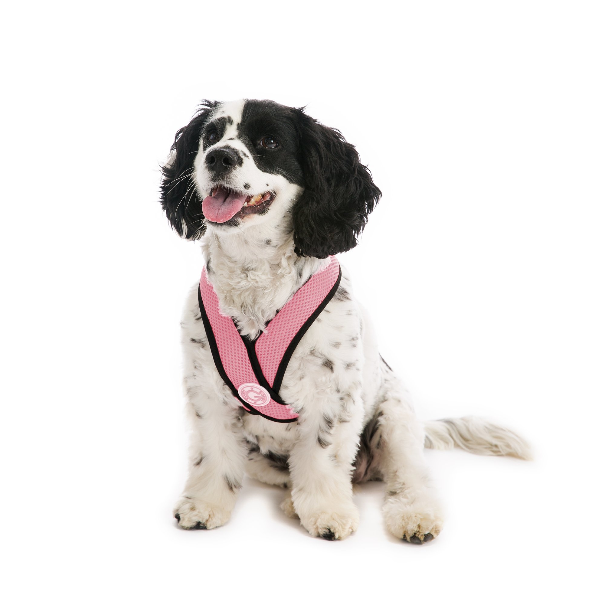 petco dog harness