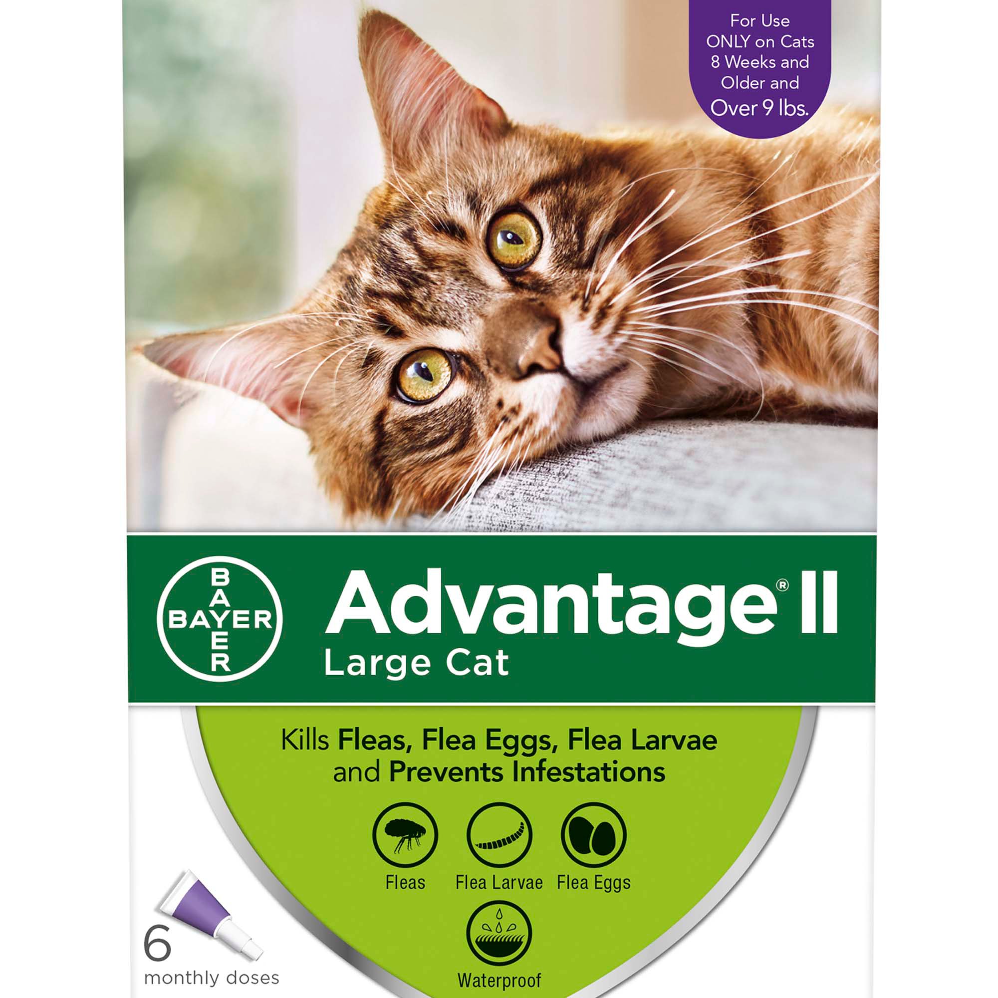 How Effective Is Advantage For Cats