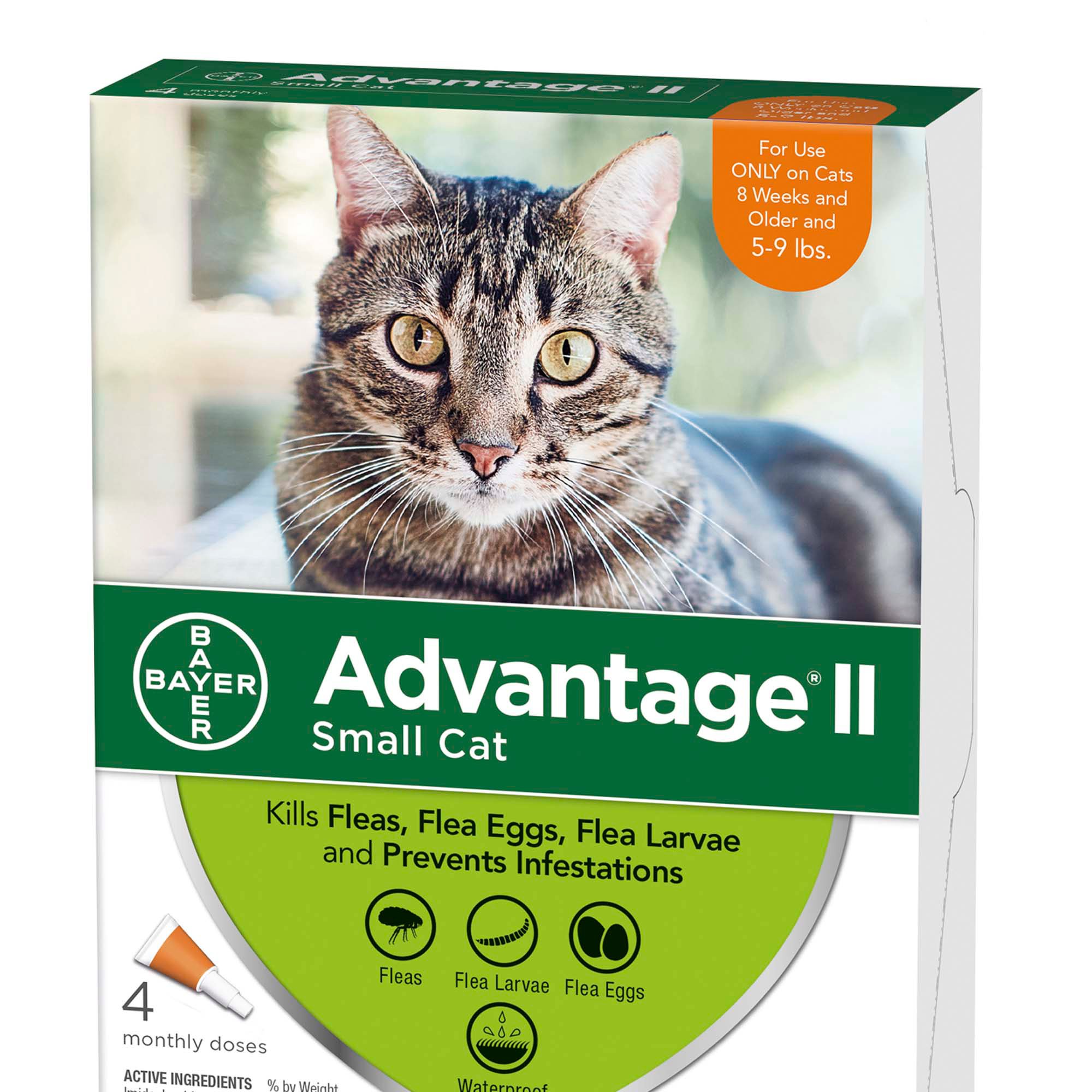 petco advantage ii small cat