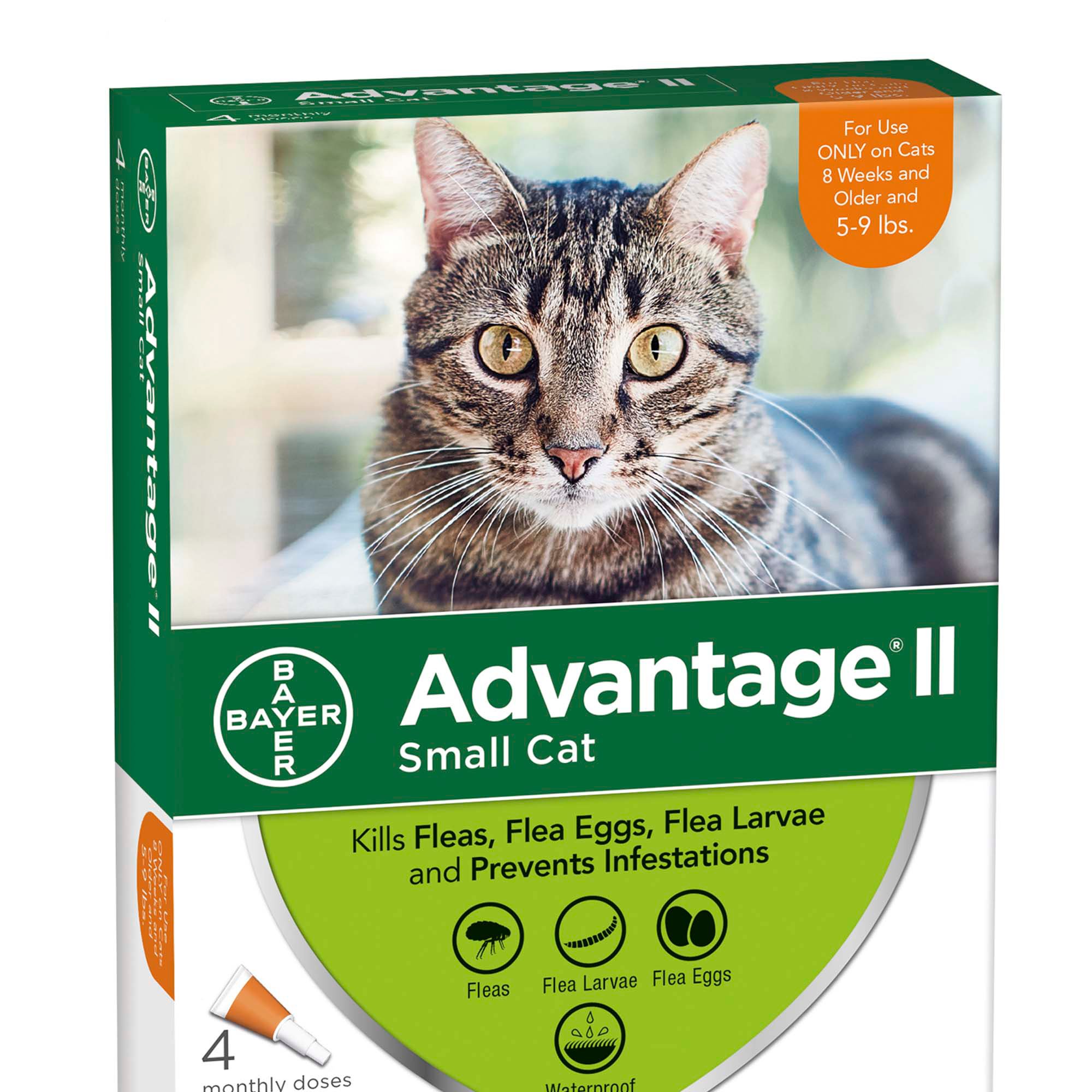 petco advantage ii large cat