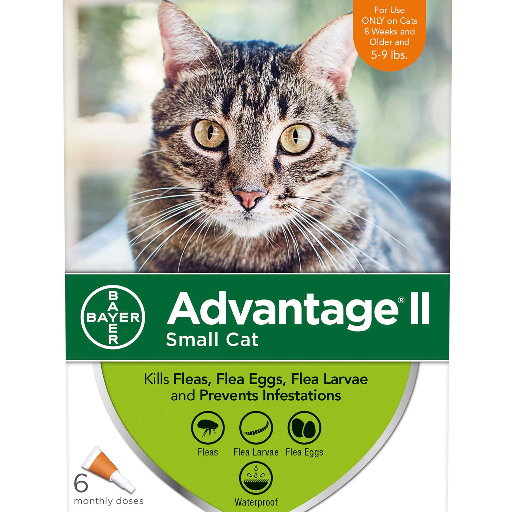 Advantage II OnceAMonth Cat & Kitten Topical Flea Treatment, 5 to 9