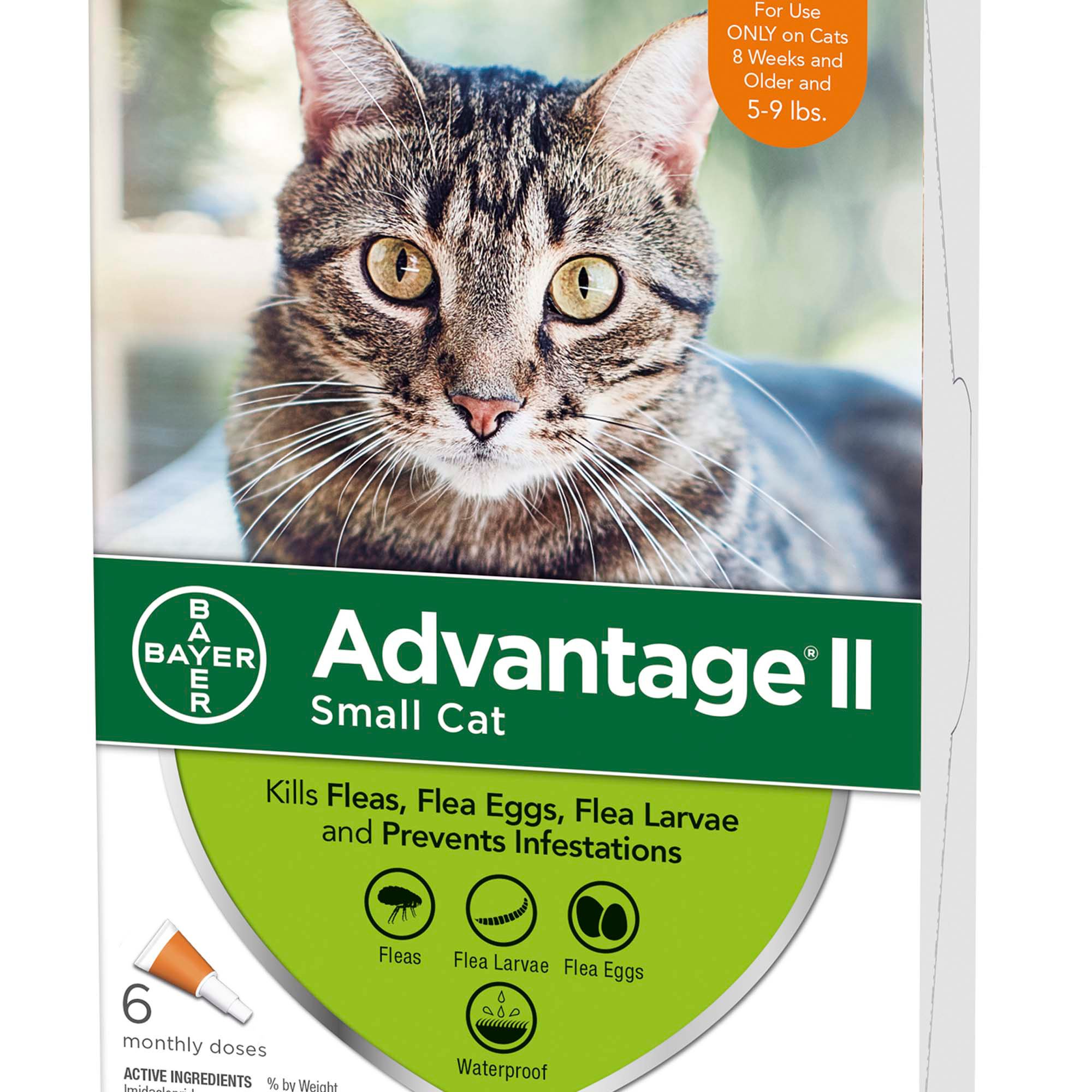 petco advantage large cat