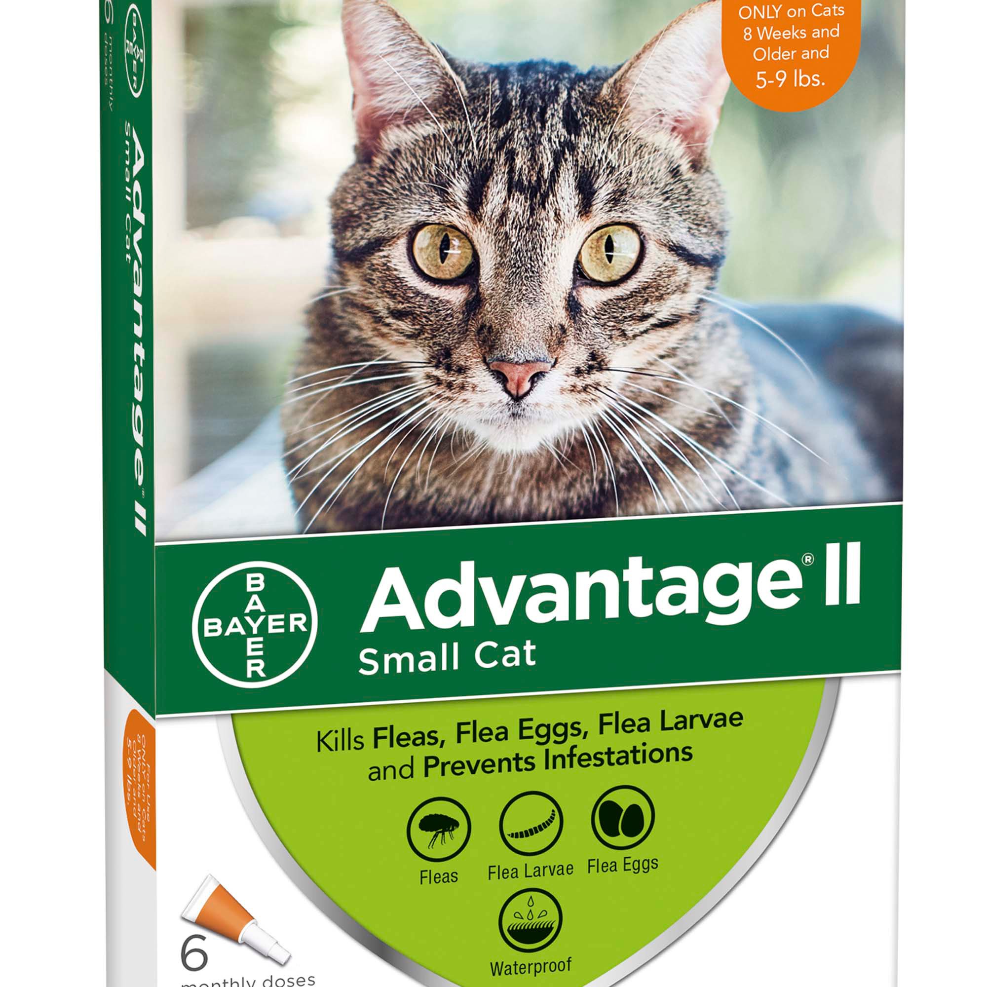 petco advantage ii small cat