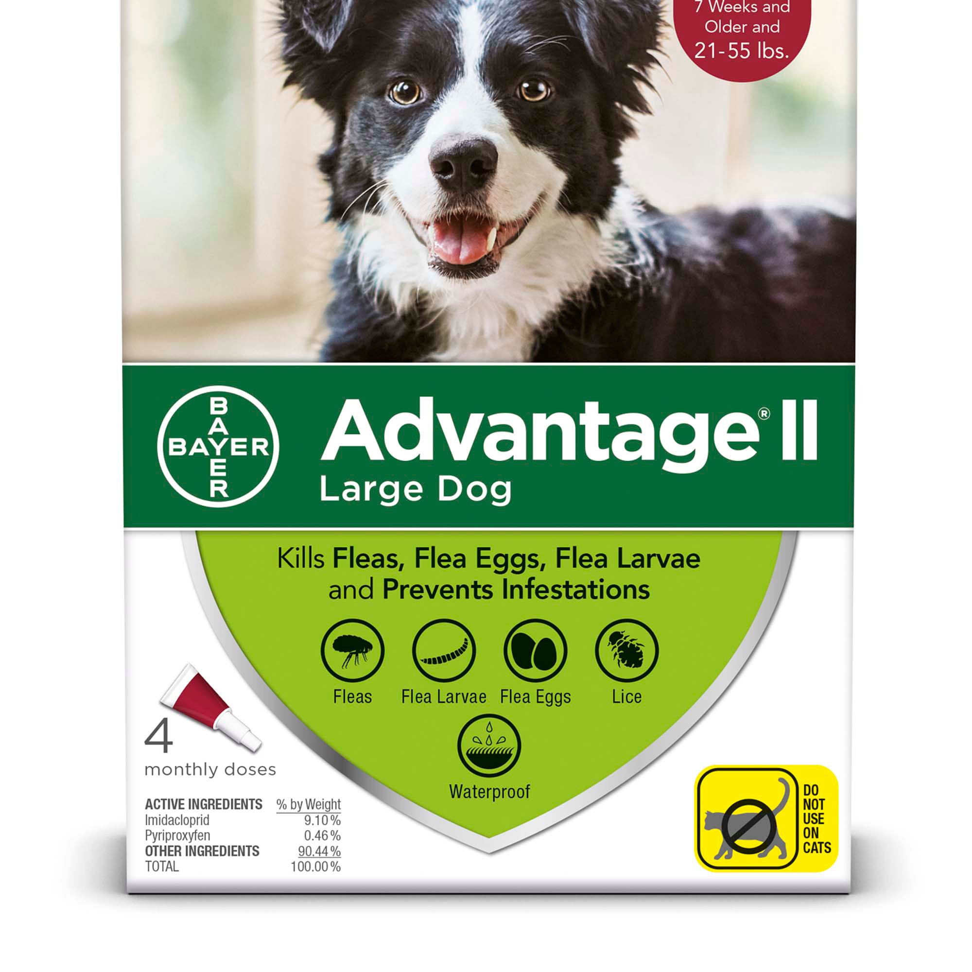 petco advantage ii large dog