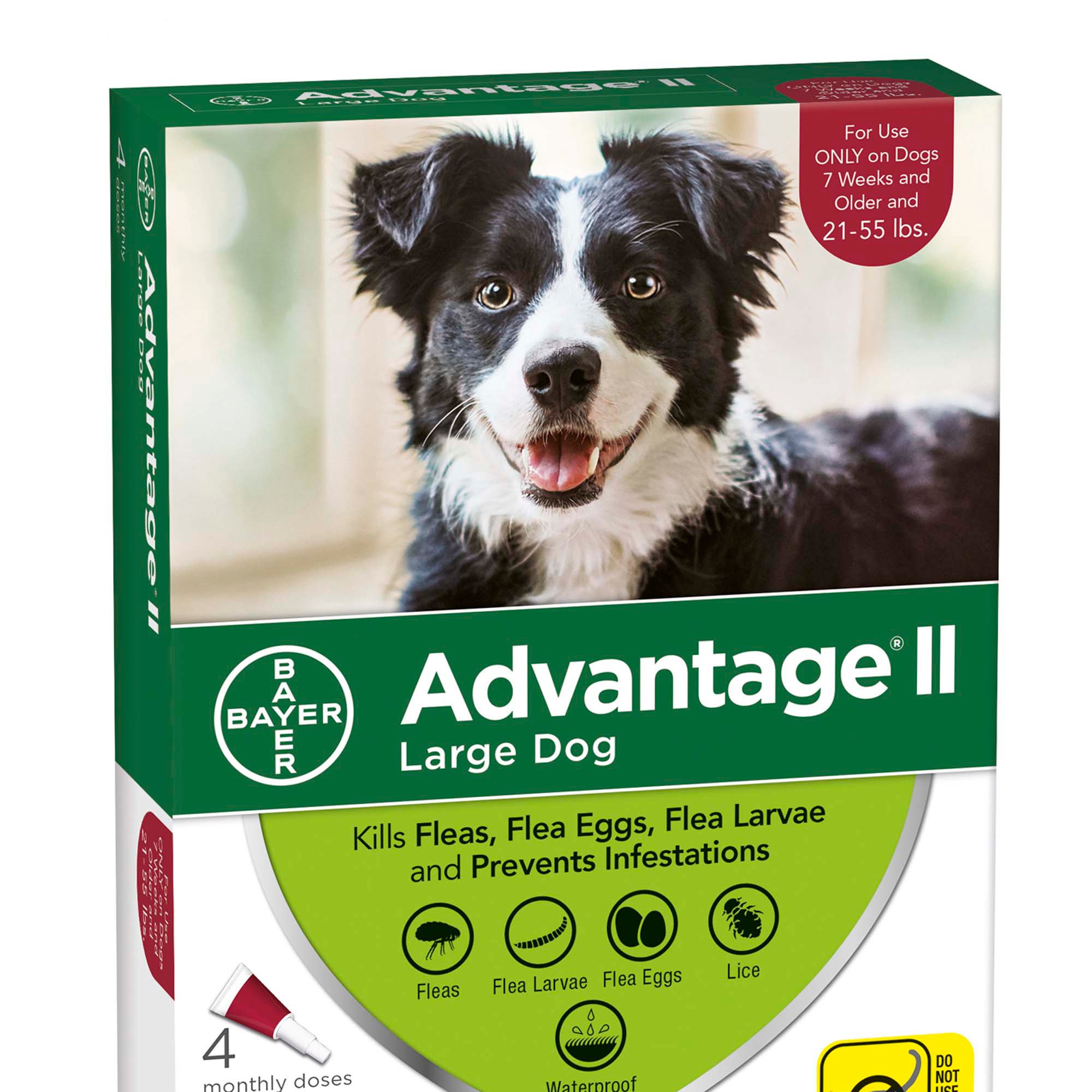 petco advantage ii large dog