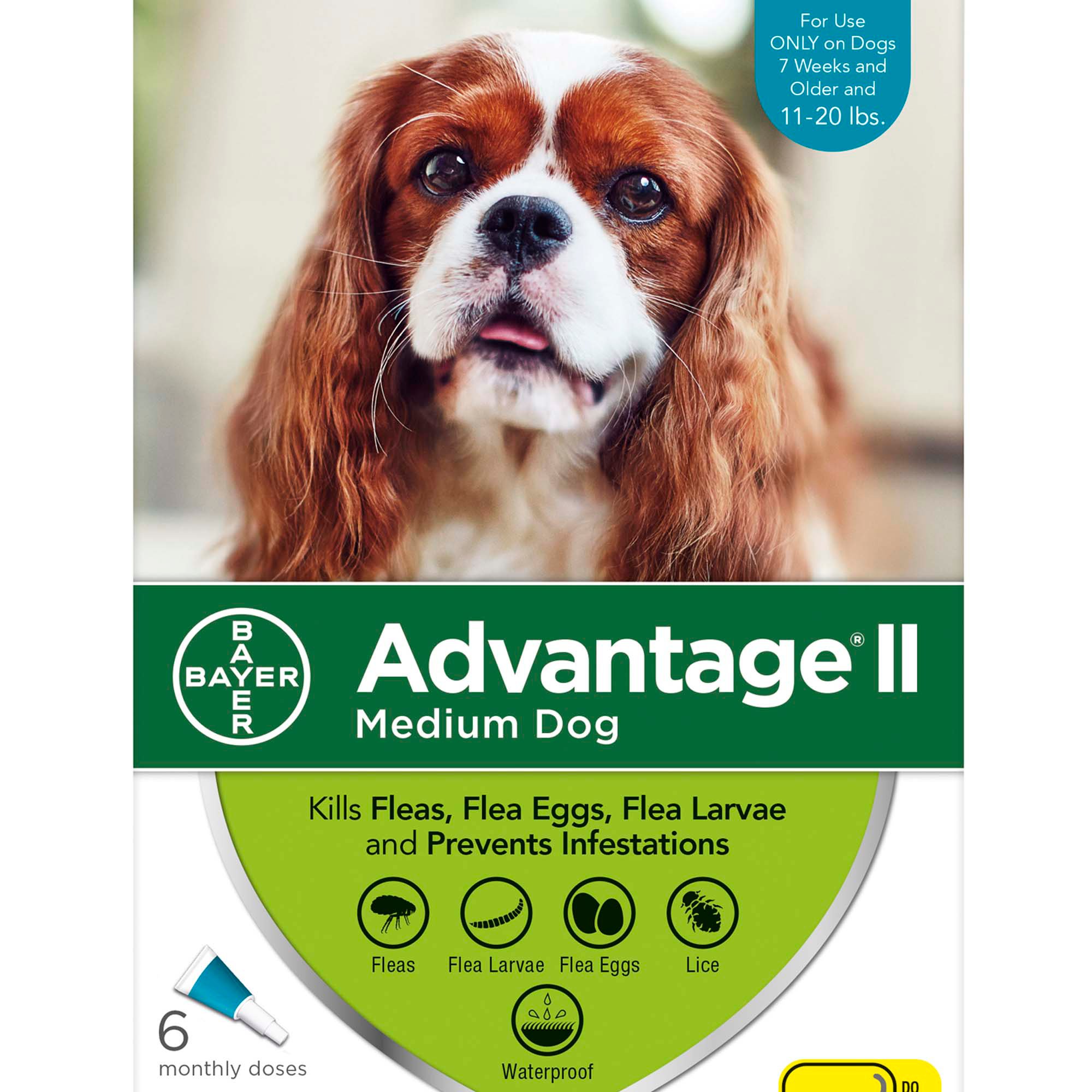 Advantage II Once-A-Month Topical Flea Treatment for Dogs ...