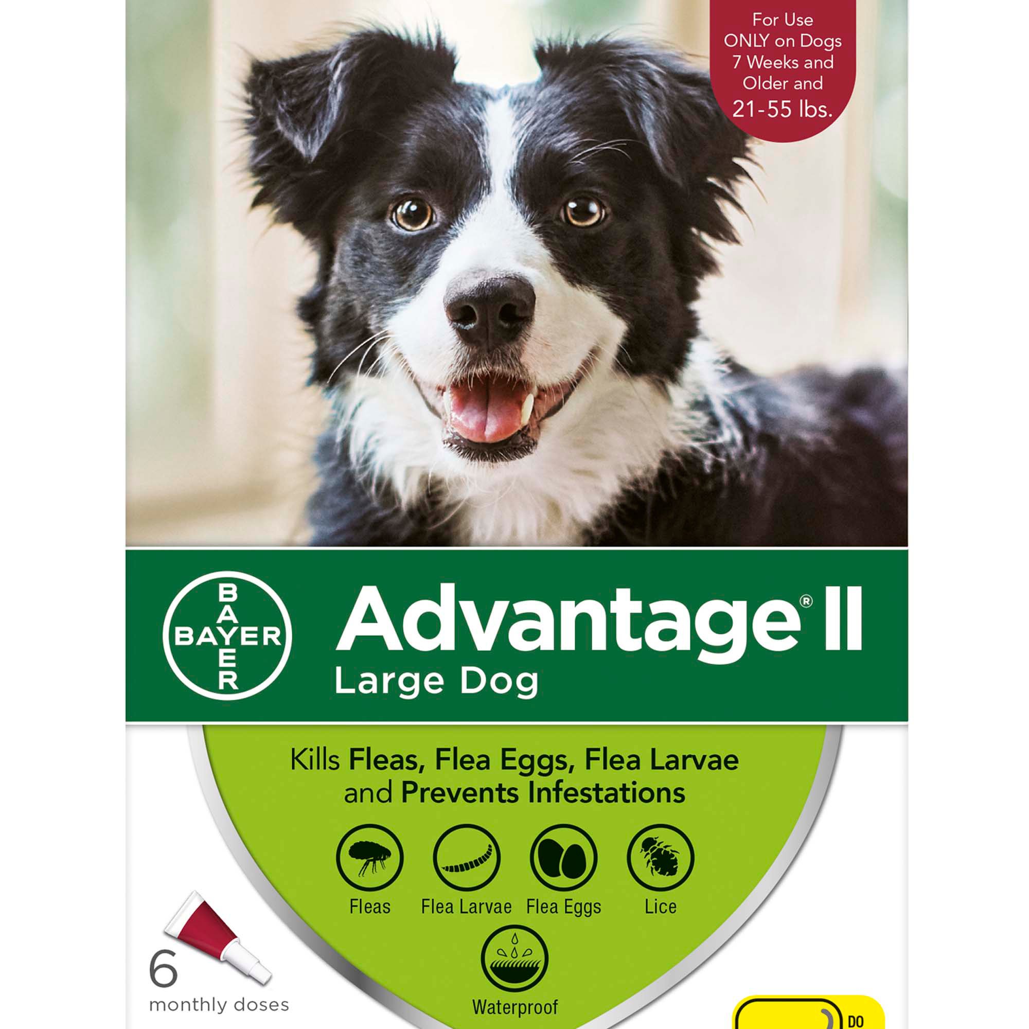 petco advantage ii large dog