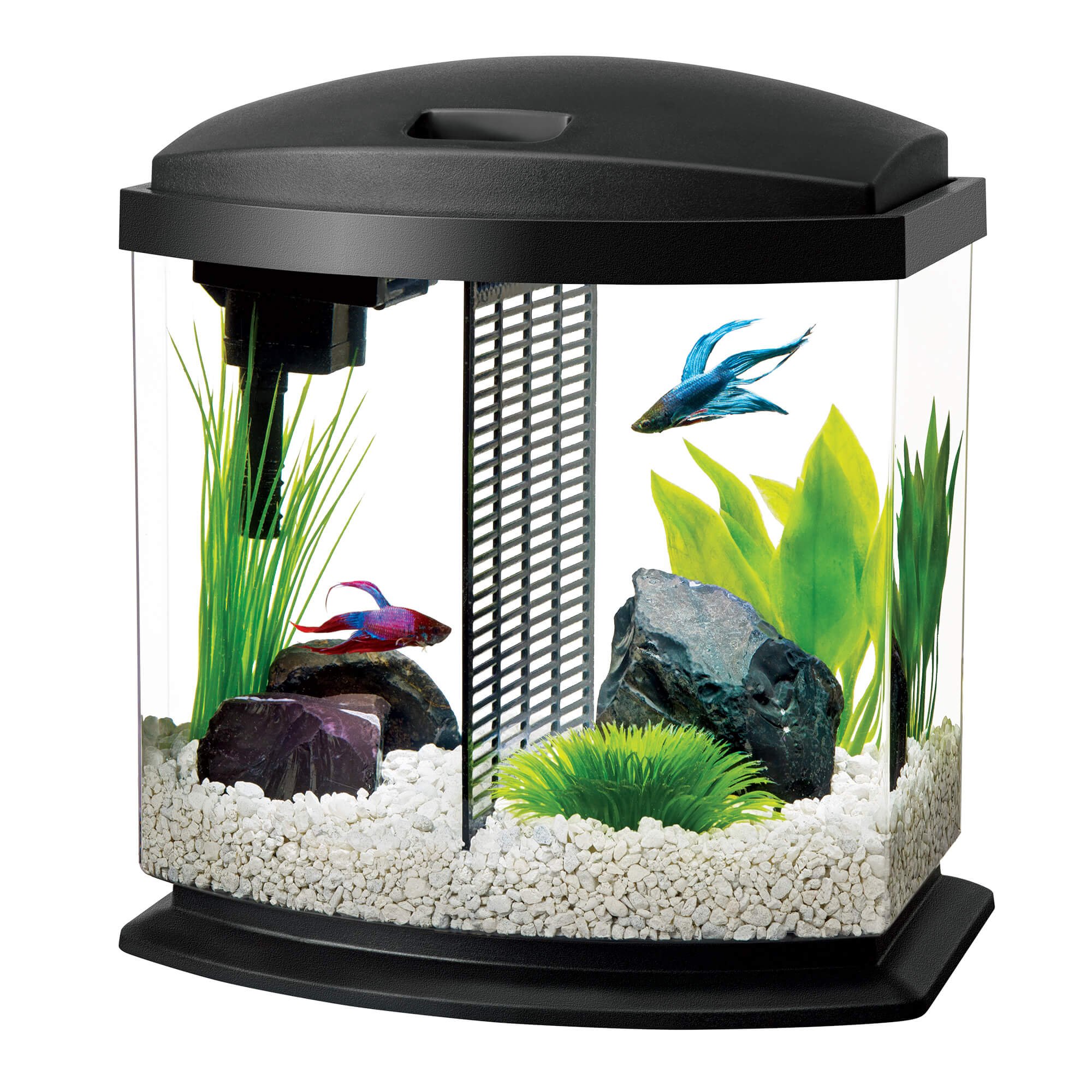 Aqueon 2 5 Gallon Bettabow Led Desktop Fish Aquarium Kit Black