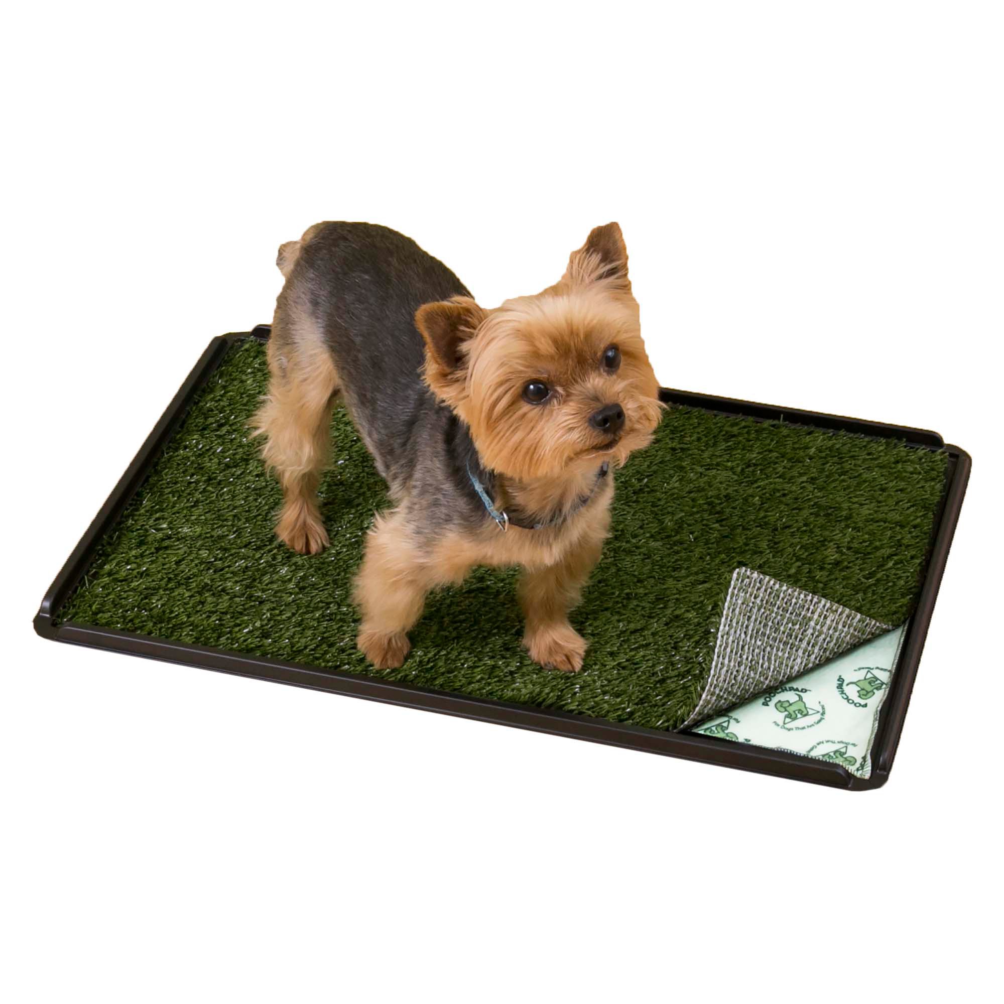 PoochPads Indoor Turf Dog Potty Plus | Petco