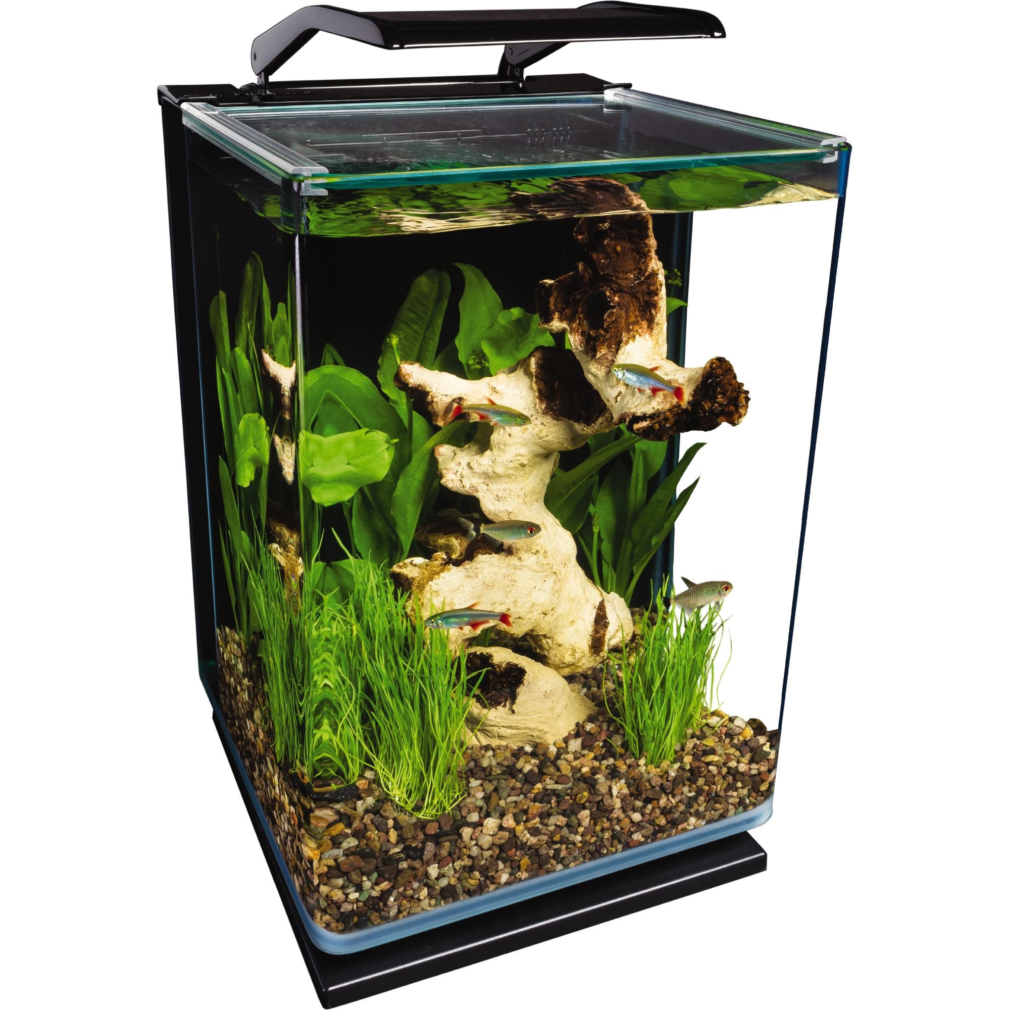 475px x 475px - Marineland 5 Gallon Portrait Glass LED Aquarium Kit