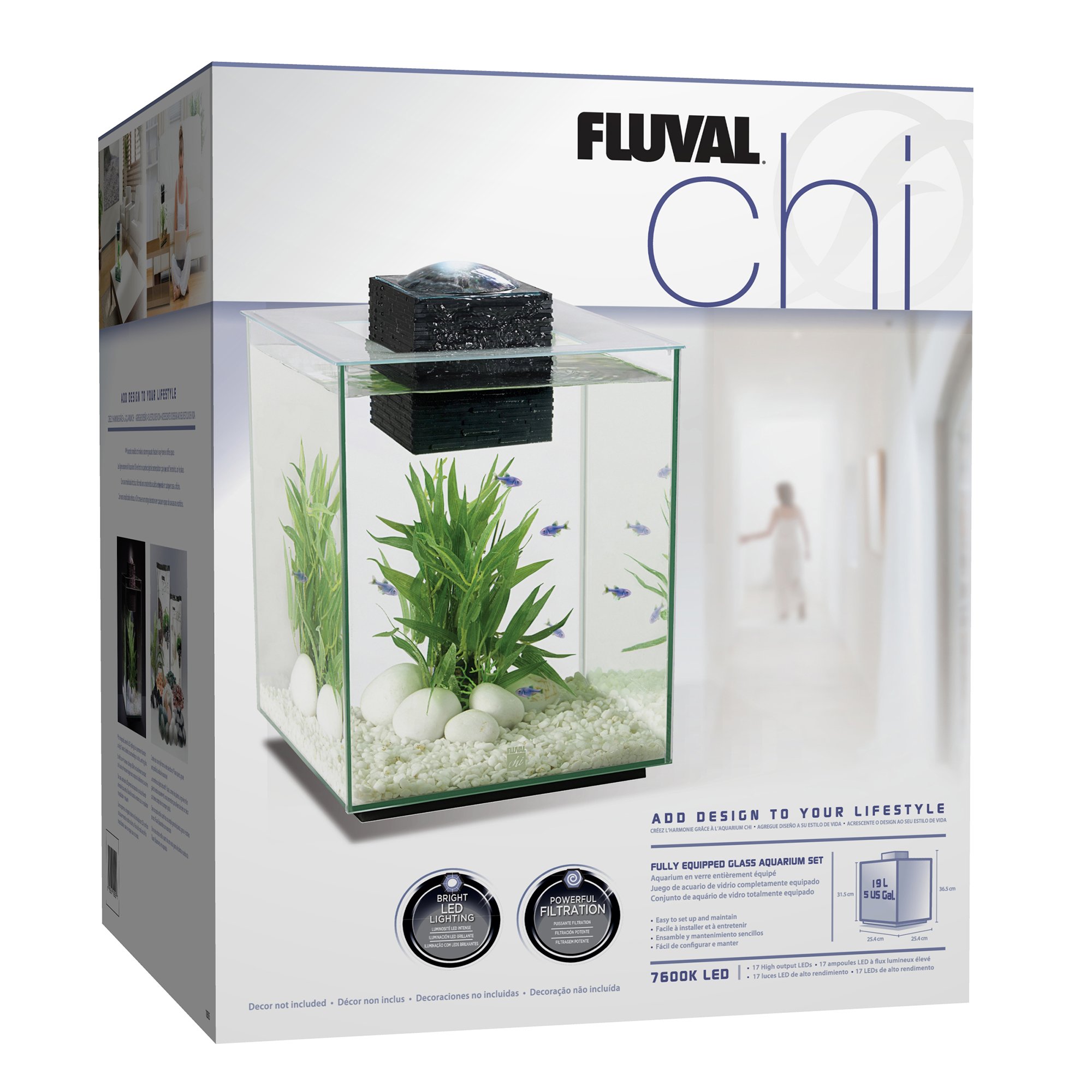 petco 5 gallon aquarium