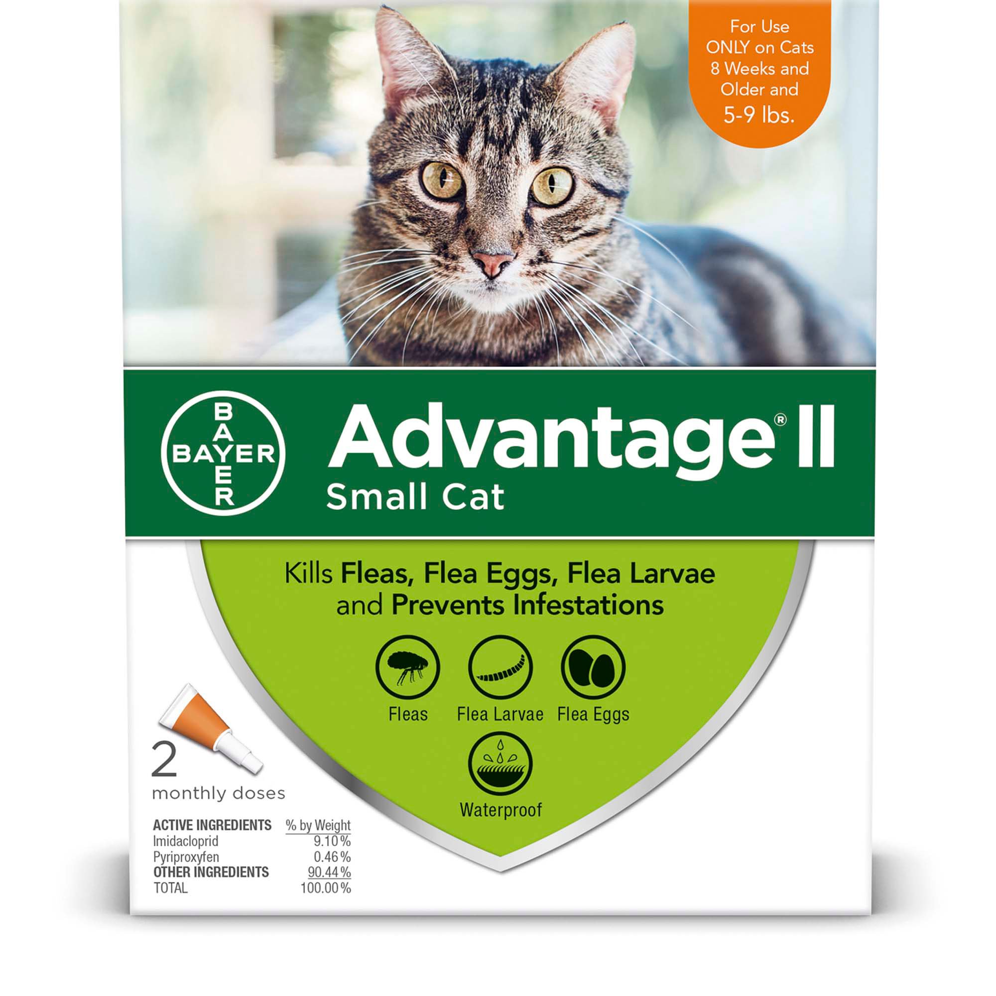 advantage flea treatment for cats