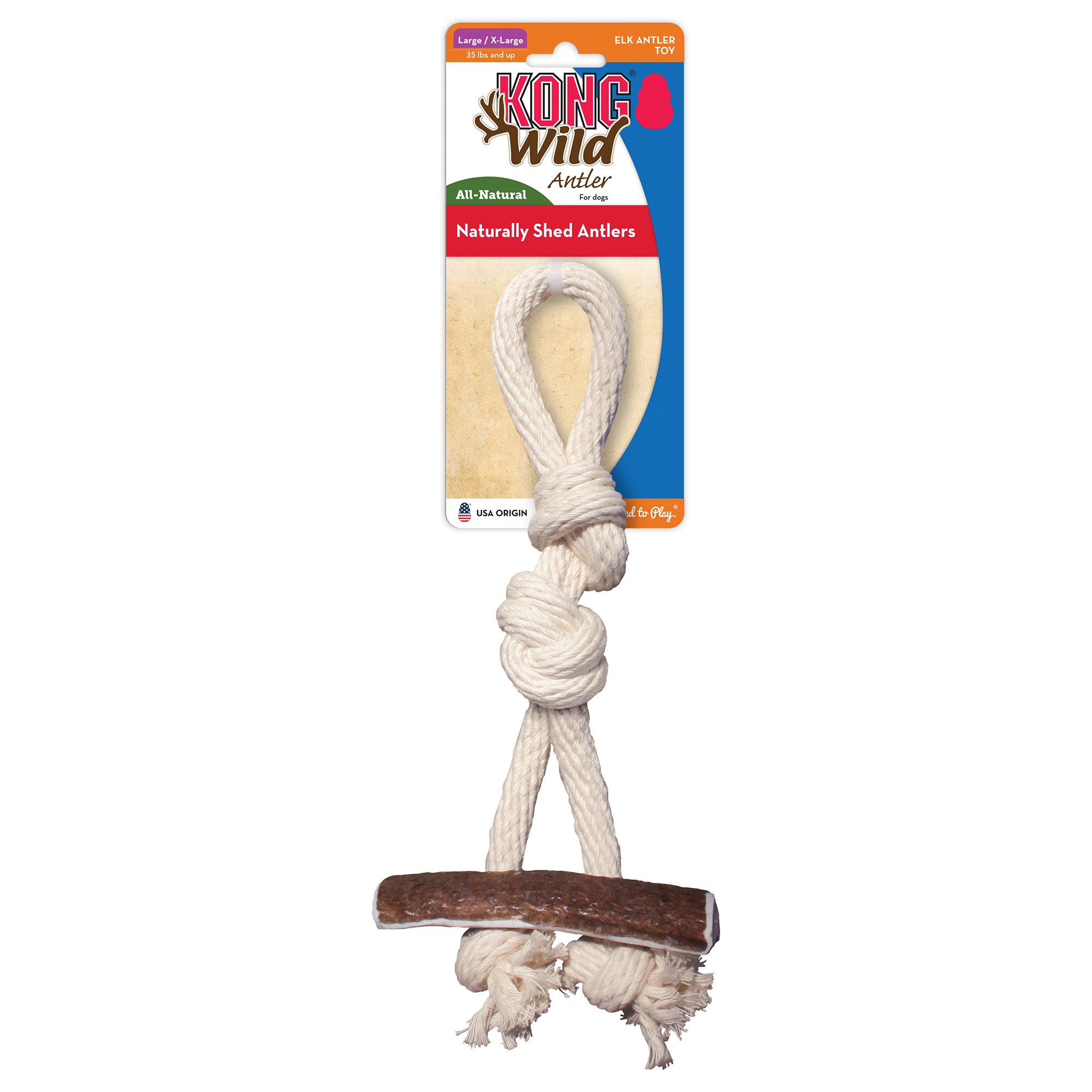 kong wild antler large