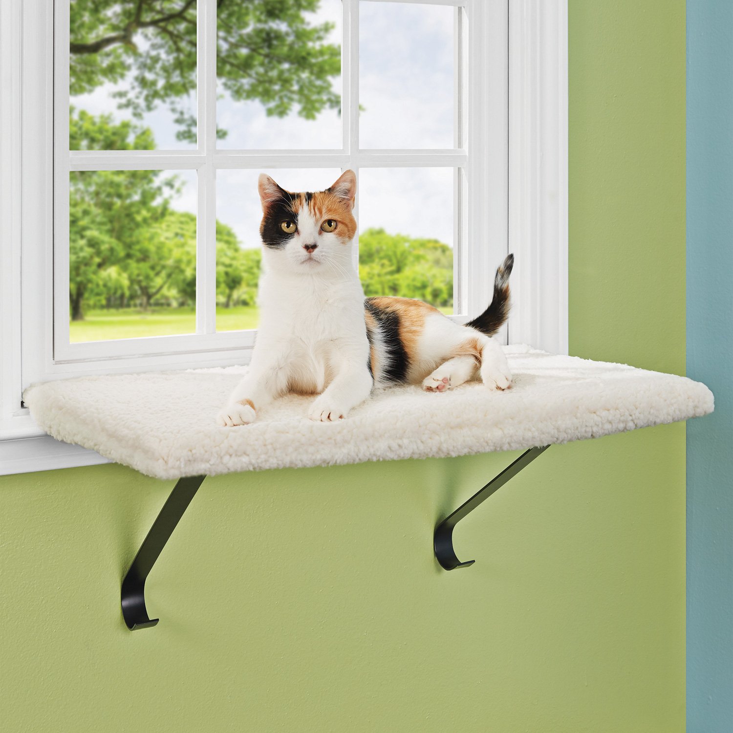 You Me Memory Foam Window Cat Perch Petco