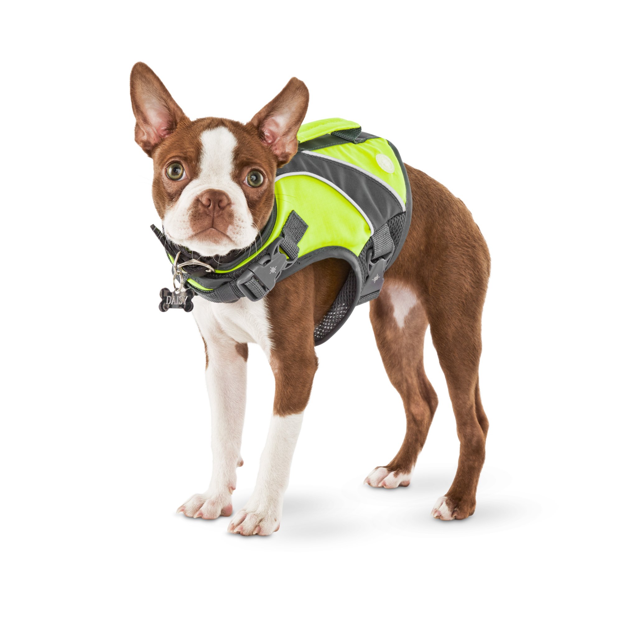 good2go yellow dog flotation vest