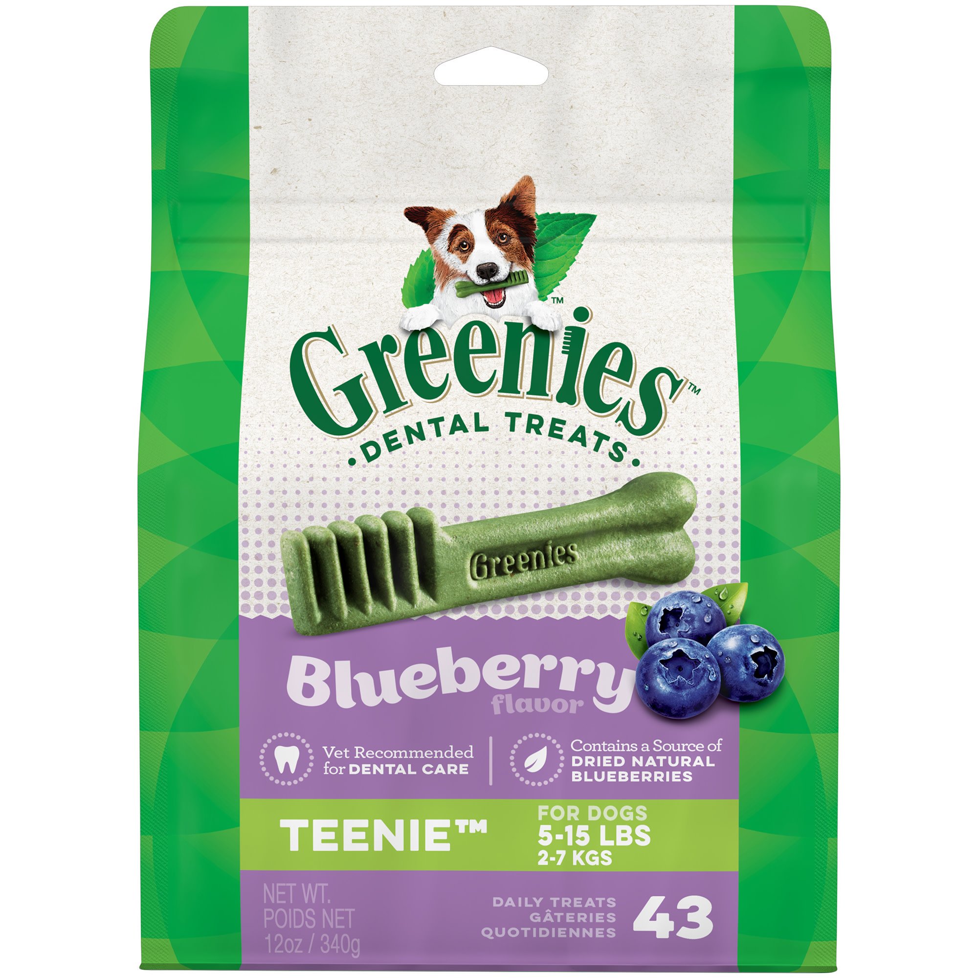 (BBD:06/20/2025) GREENIES Bursting Blueberry Treat-Pak, Teenie 43 Treats, 12 oz