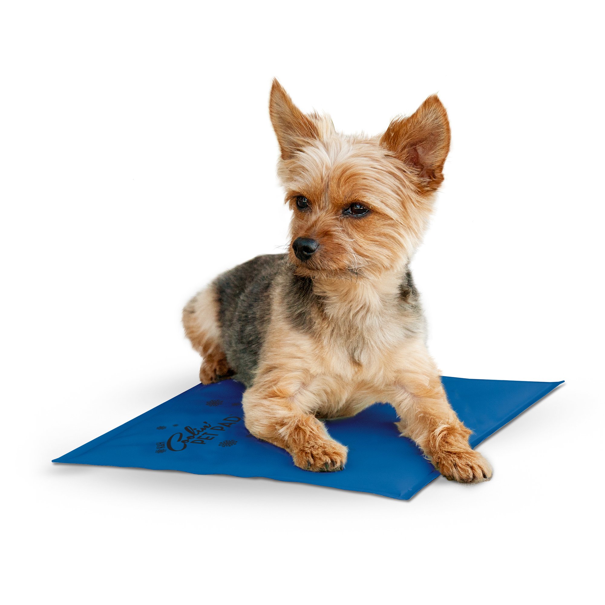 petco cooling pad