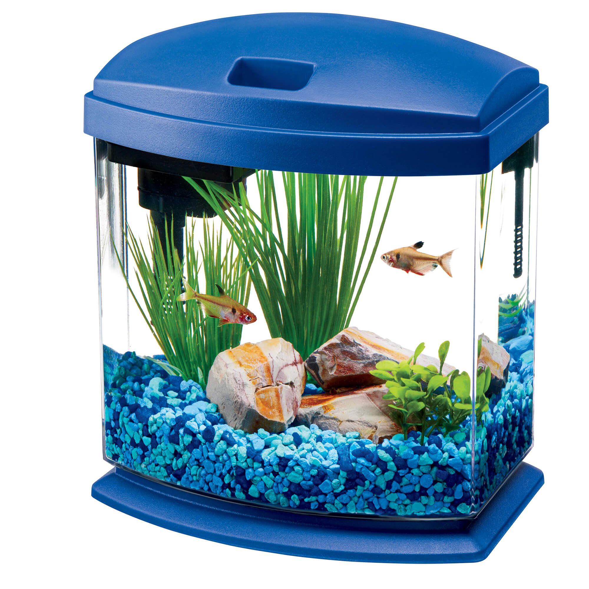 Aqueon 1 Gallon Minibow Led Desktop Fish Aquarium Kit Blue Petco