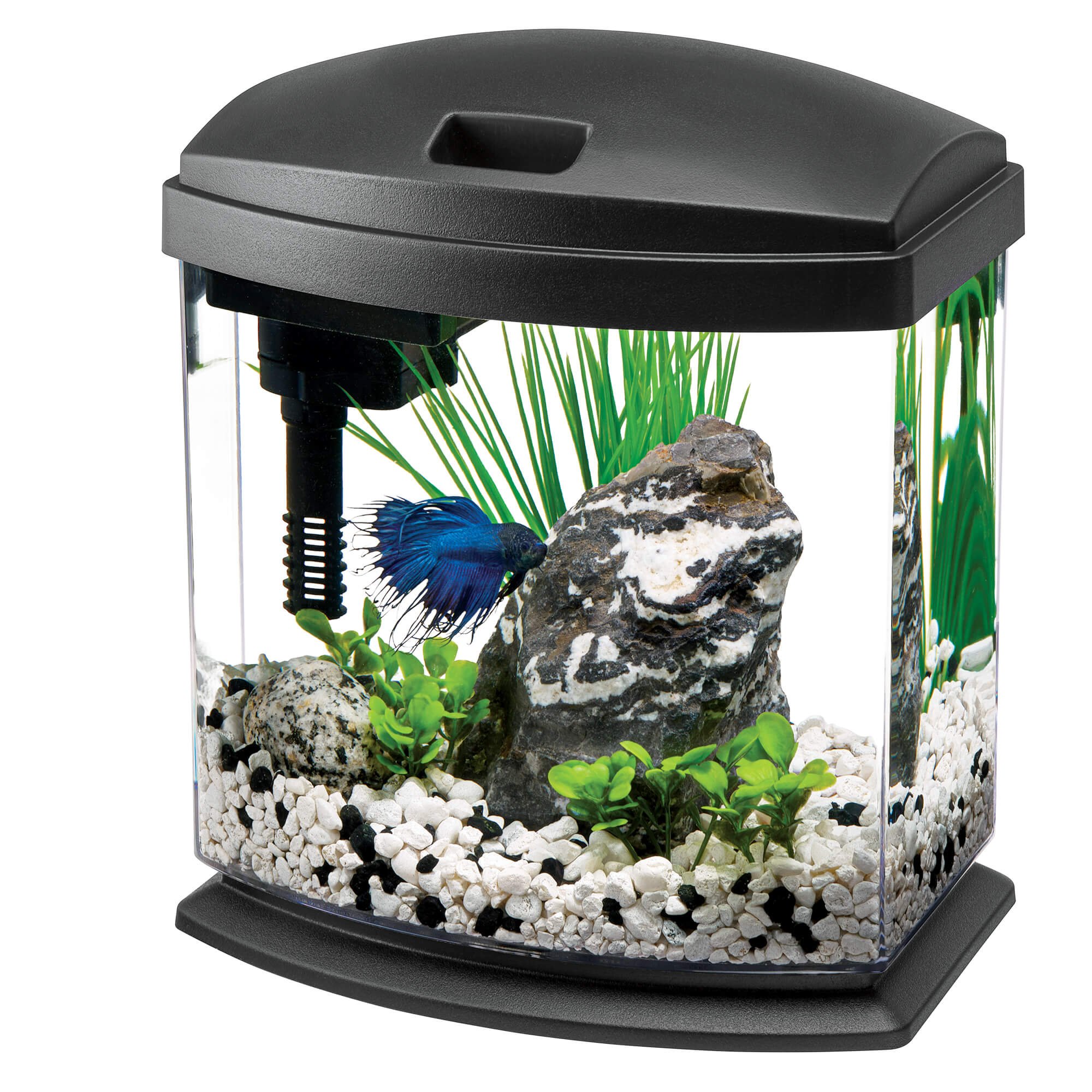 petco fish aquariums