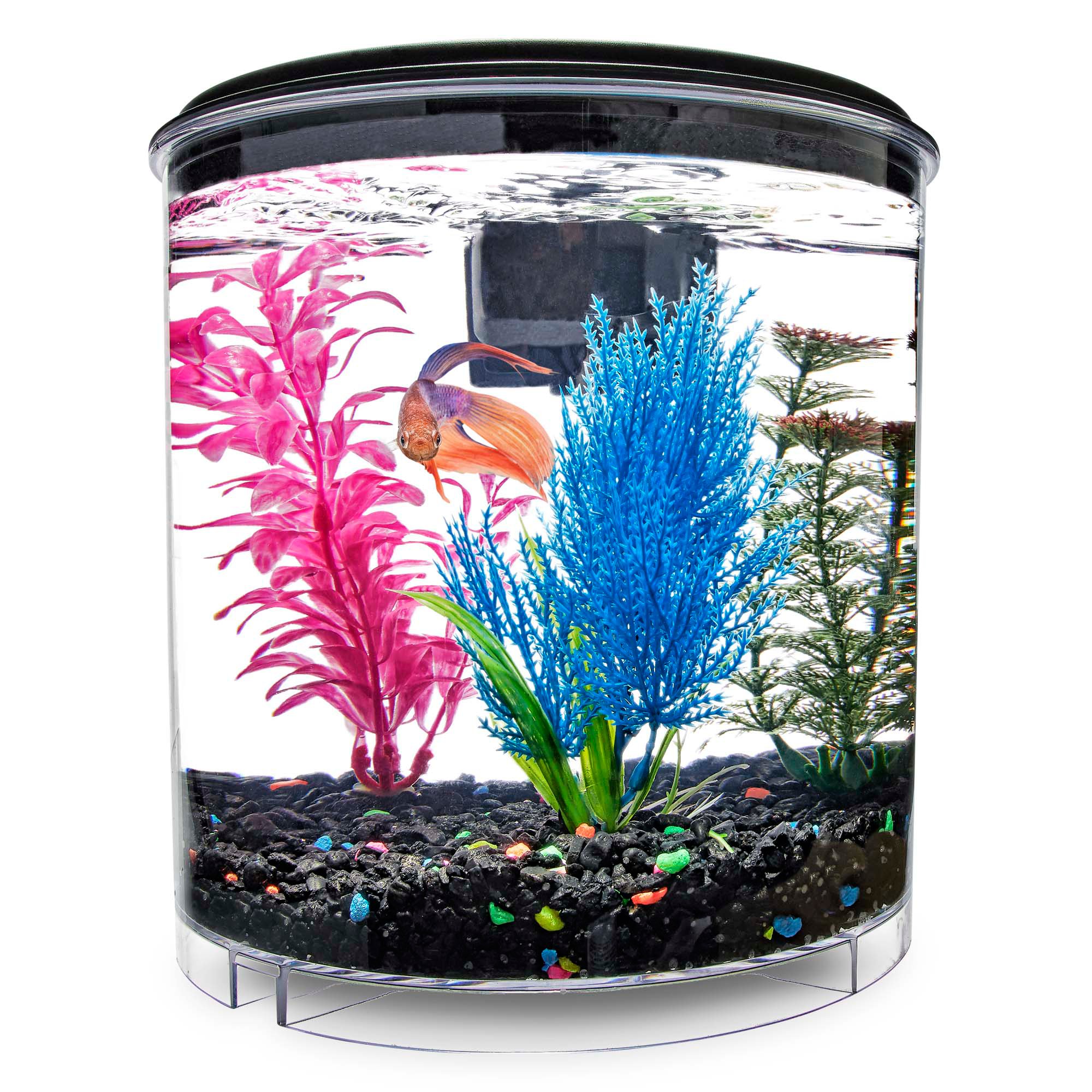 Imagitarium Frameless Freshwater Aquarium Kit Petco