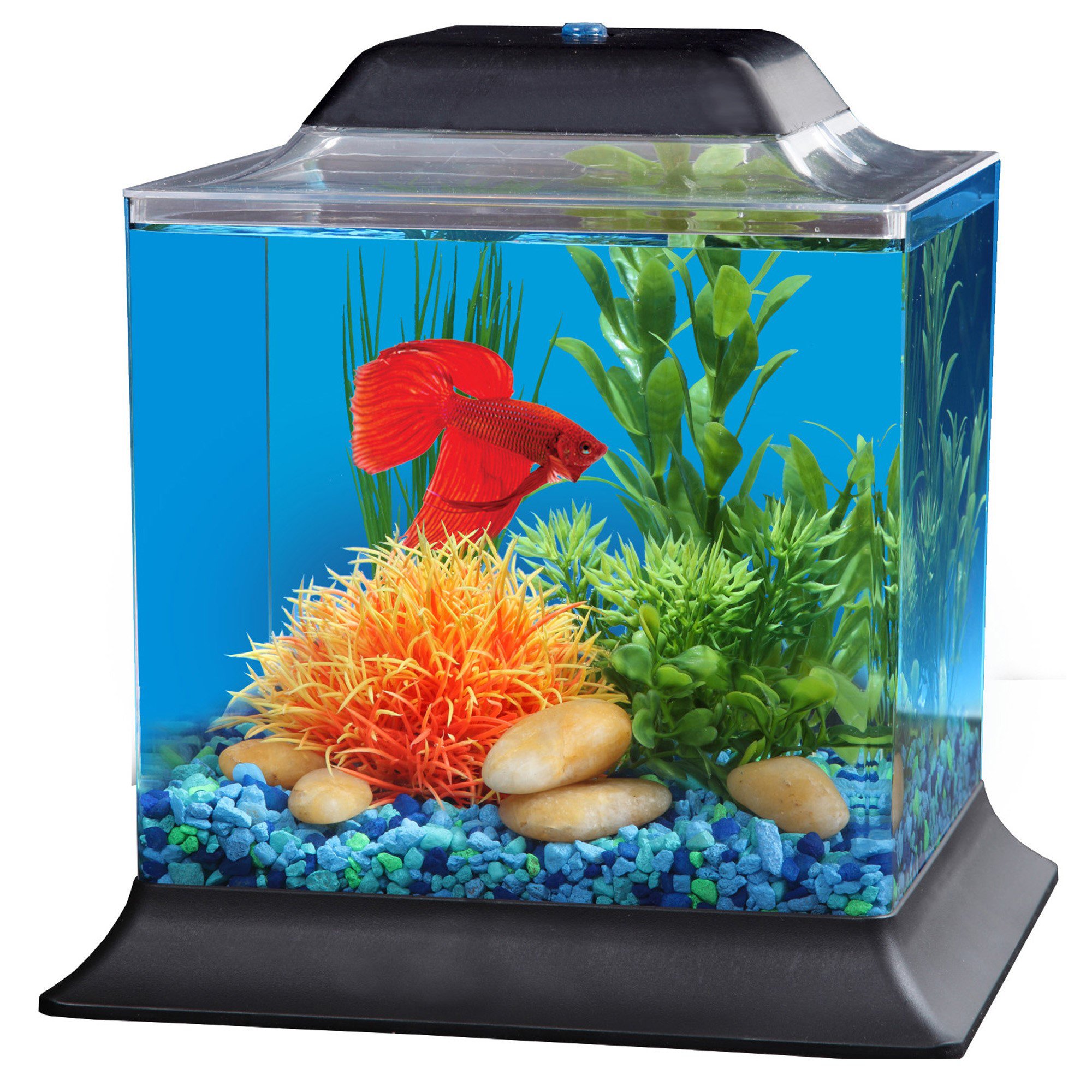 Imagitarium 1.4 Gallon Betta Aquarium Petco