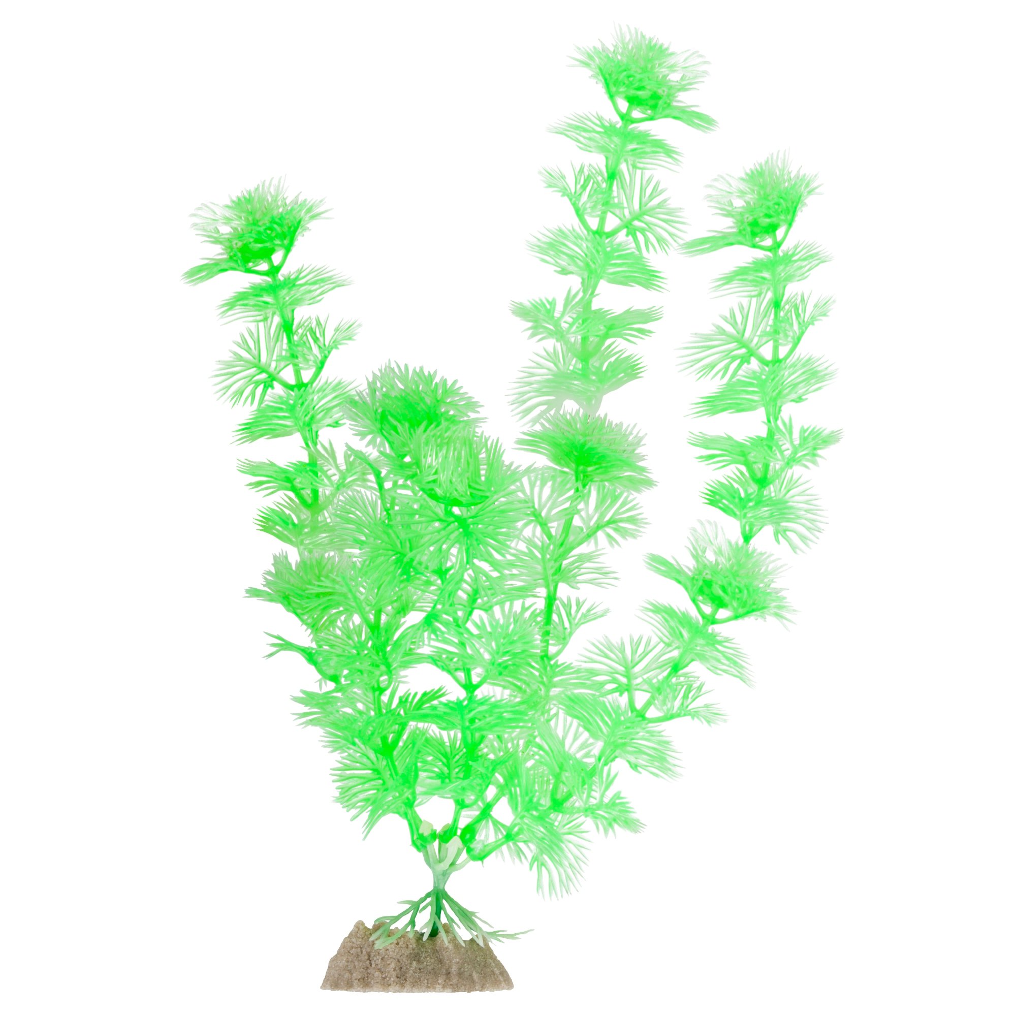 petco aquarium decor