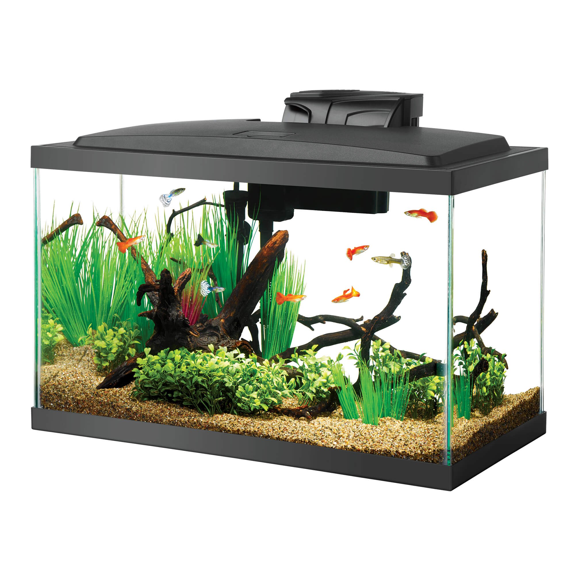 Aqueon Led 10 Gallon Aquarium Kit 22 88 L X 12 75 W X 13 88 H