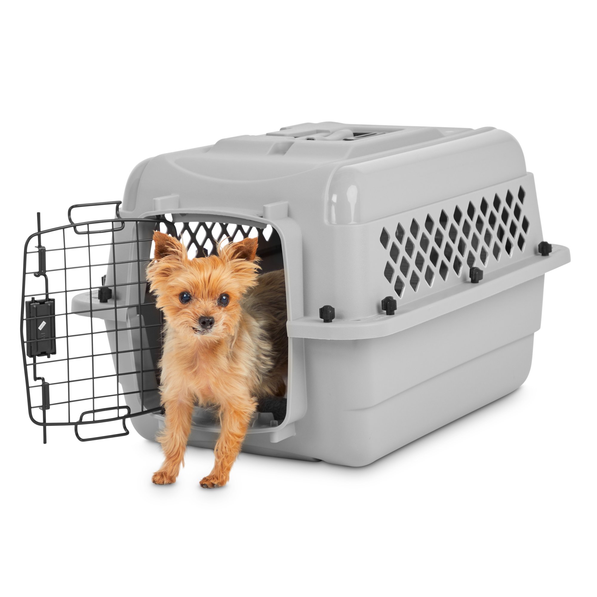 puppy kennel