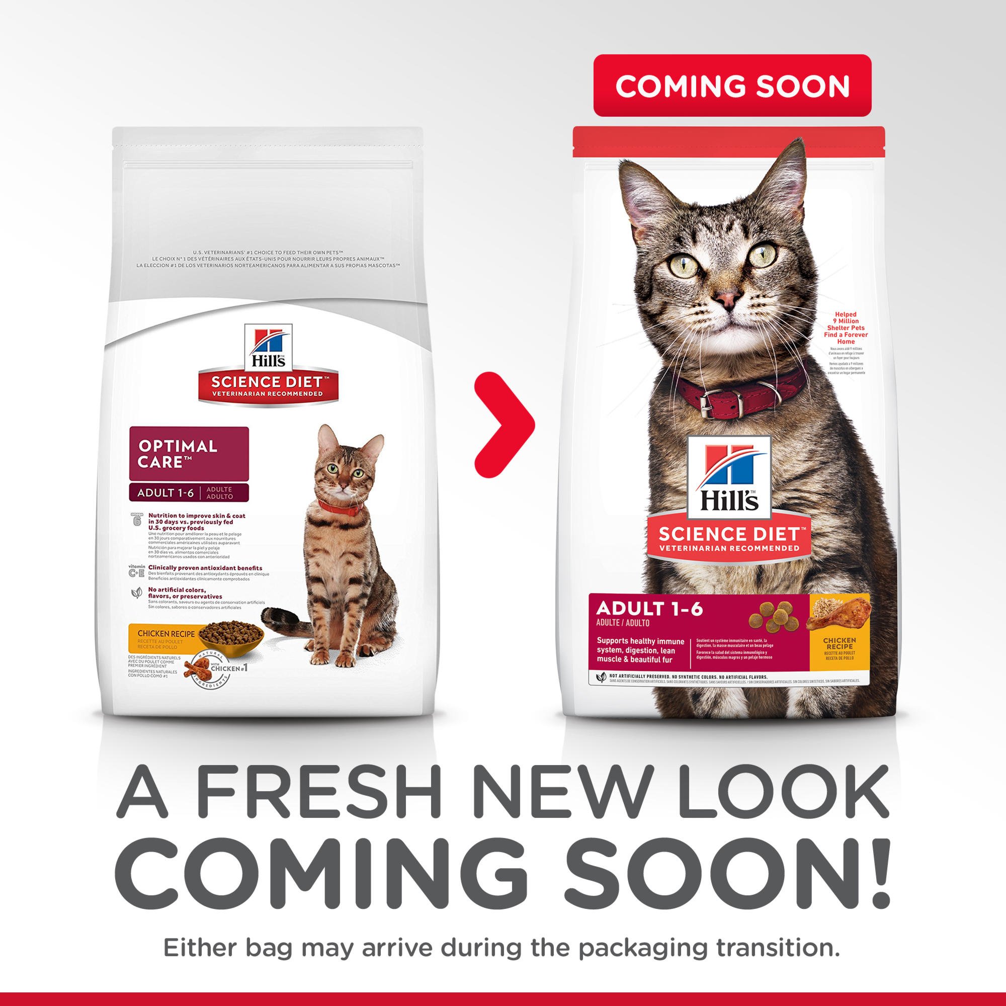 hill's science diet optimal care dry cat food