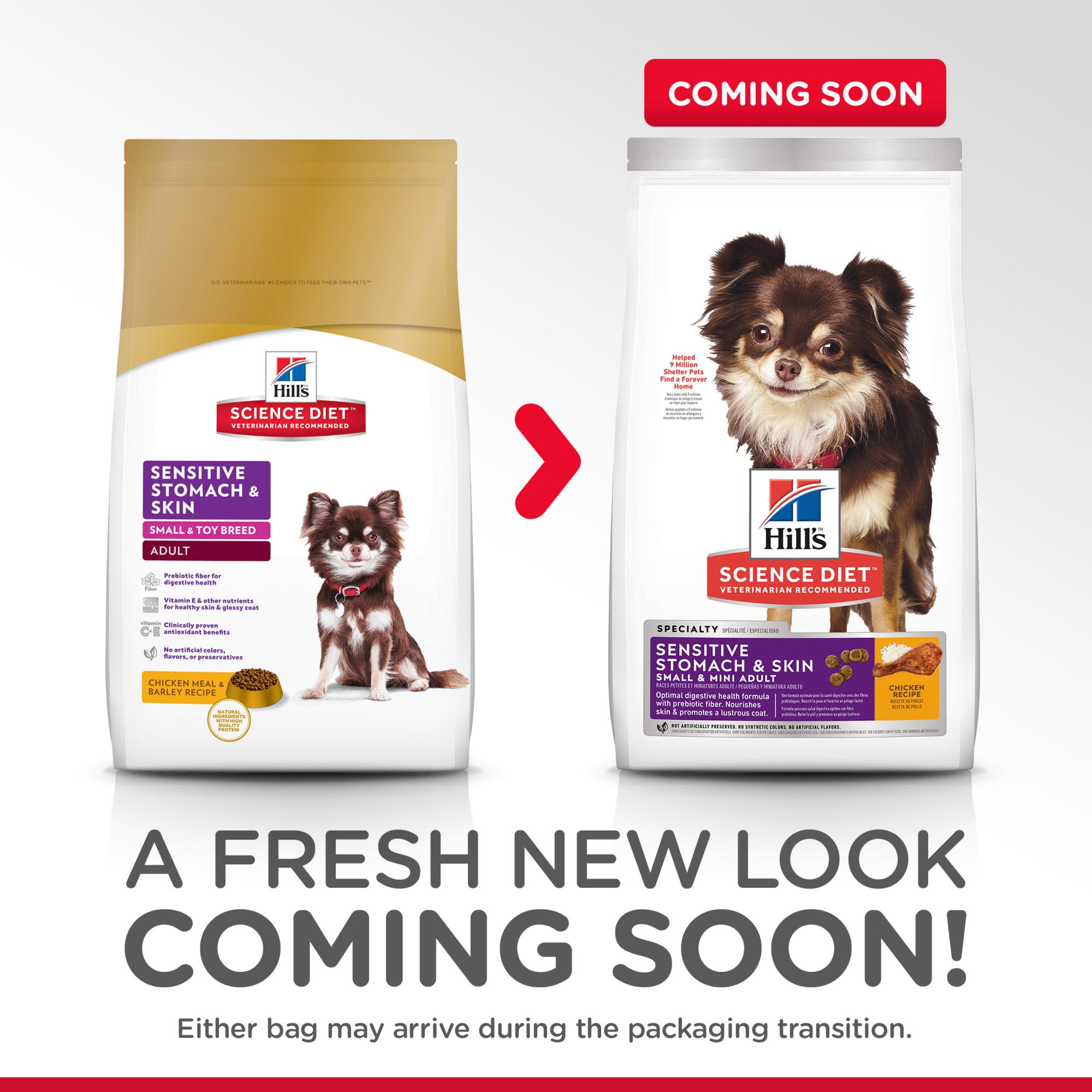 science diet small bites sensitive stomach